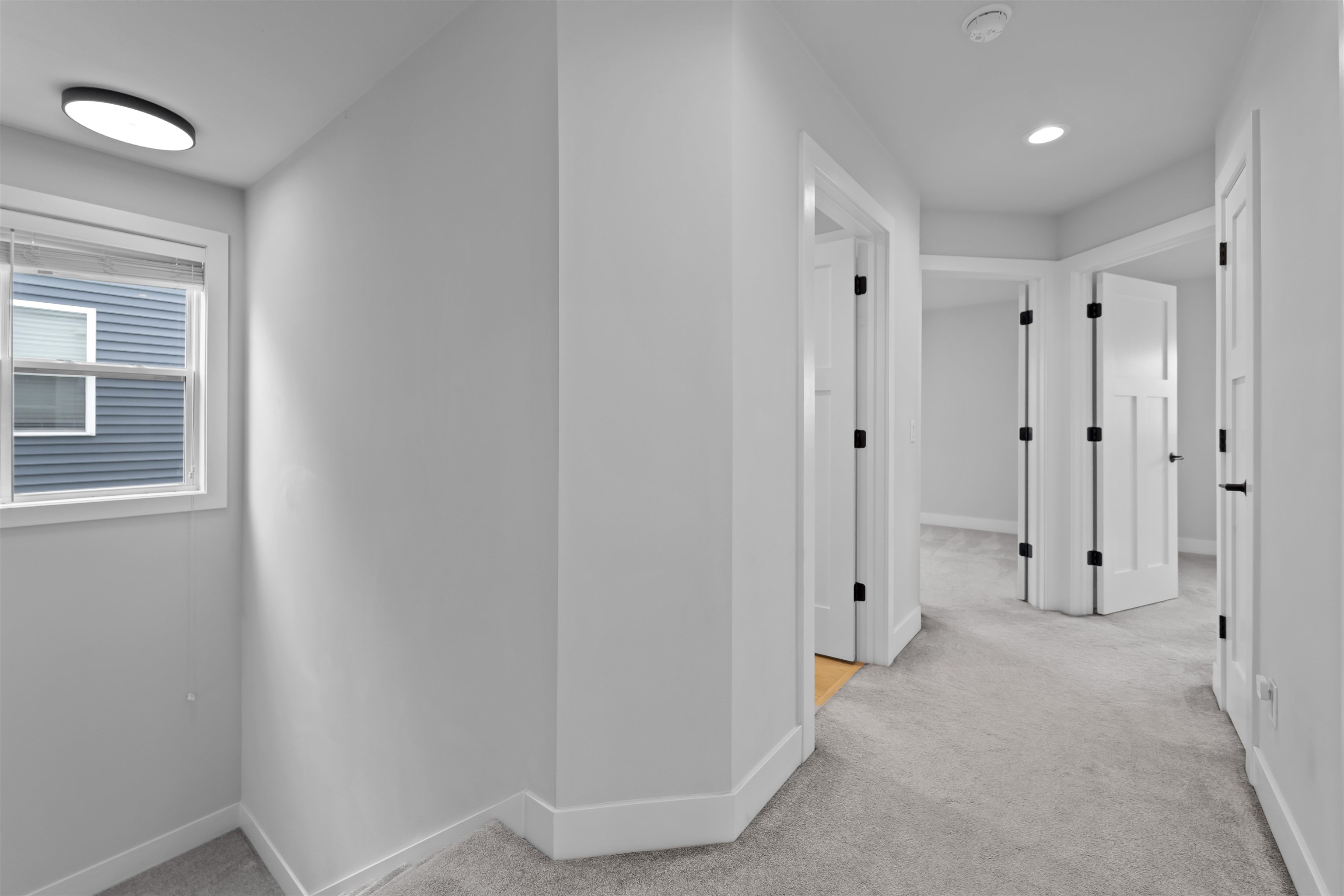 2802 Frisee Drive