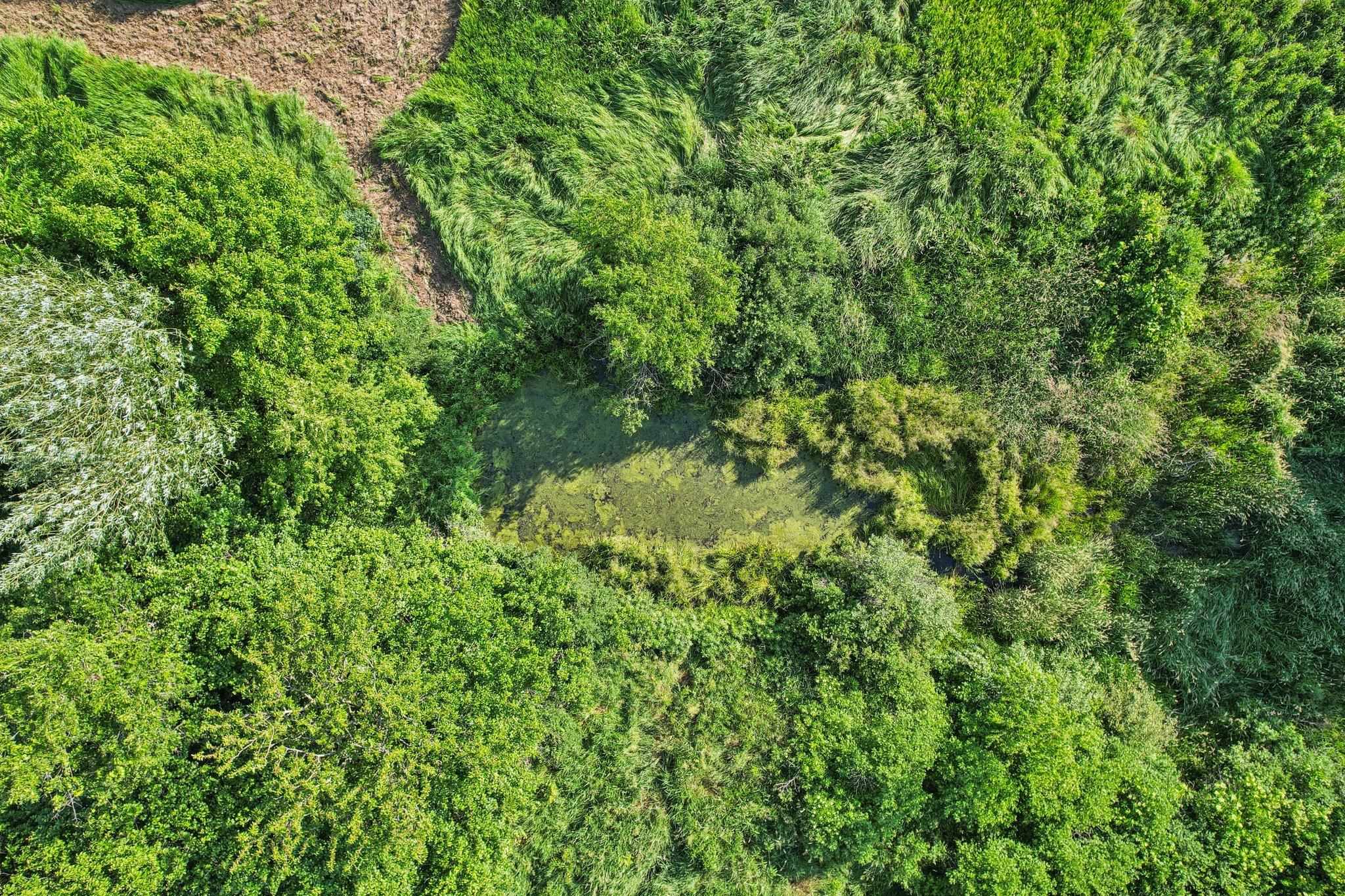 35 Ac Hustad Valley Road