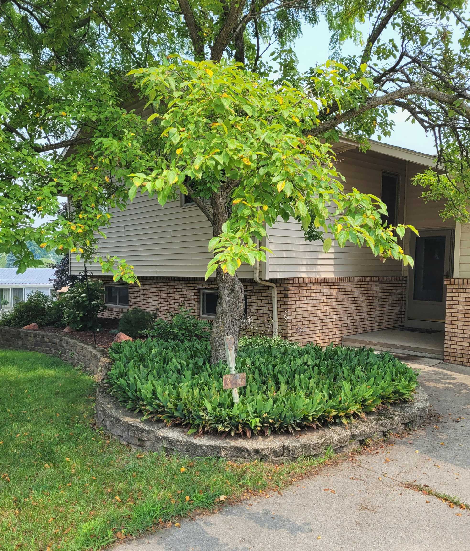 203 Arneson Road