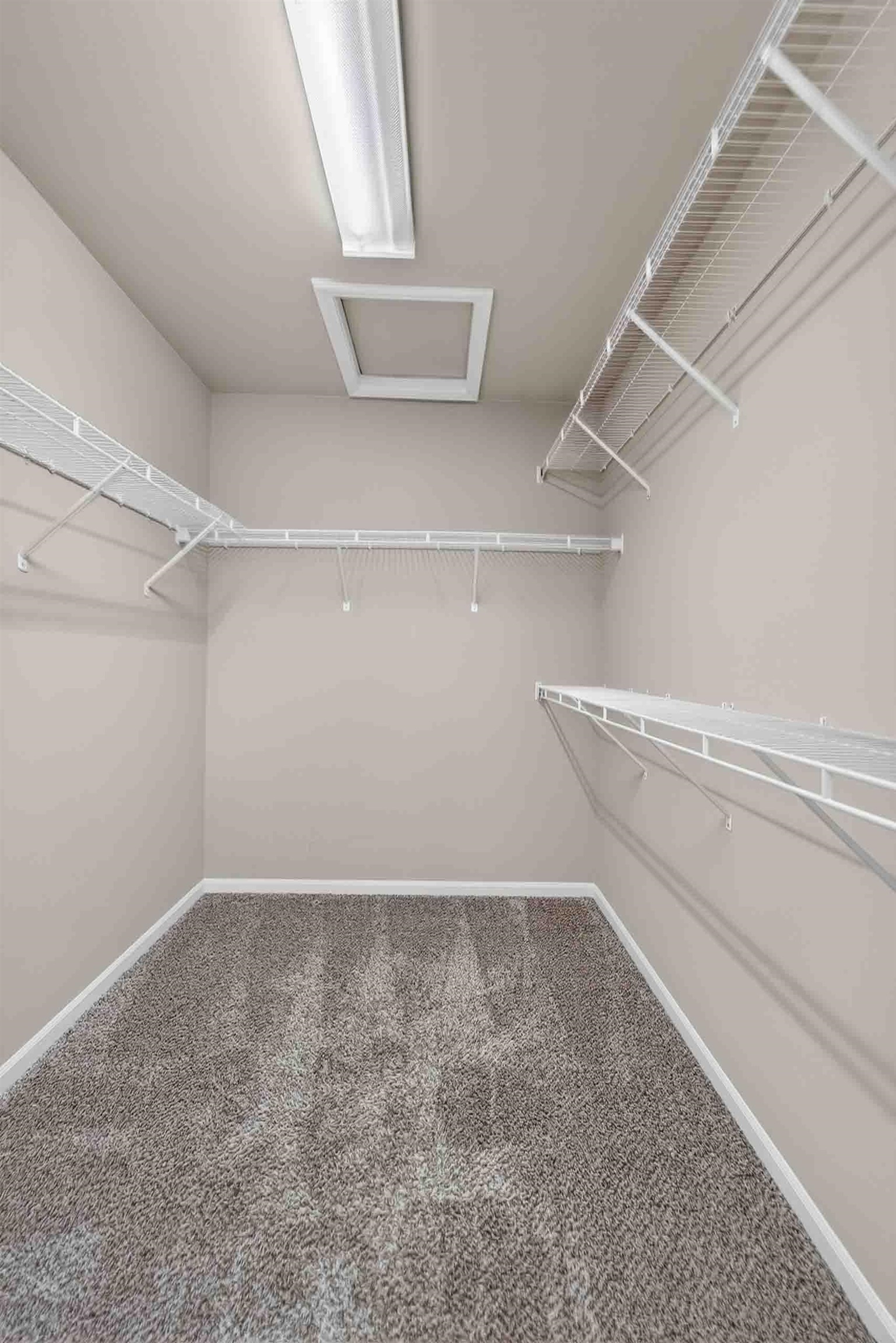 707 Shining Rock Trail