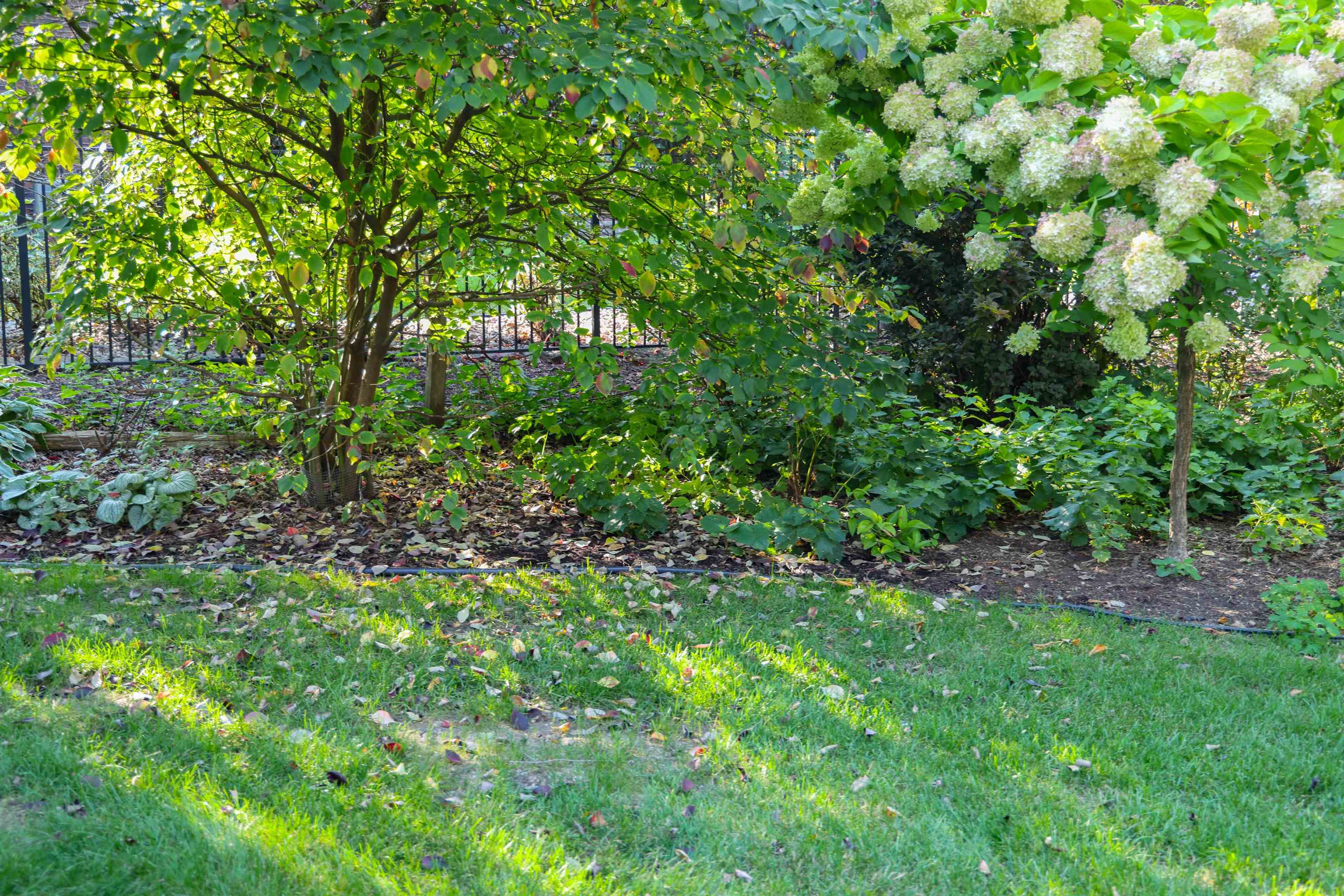 1504 Camberwell Court