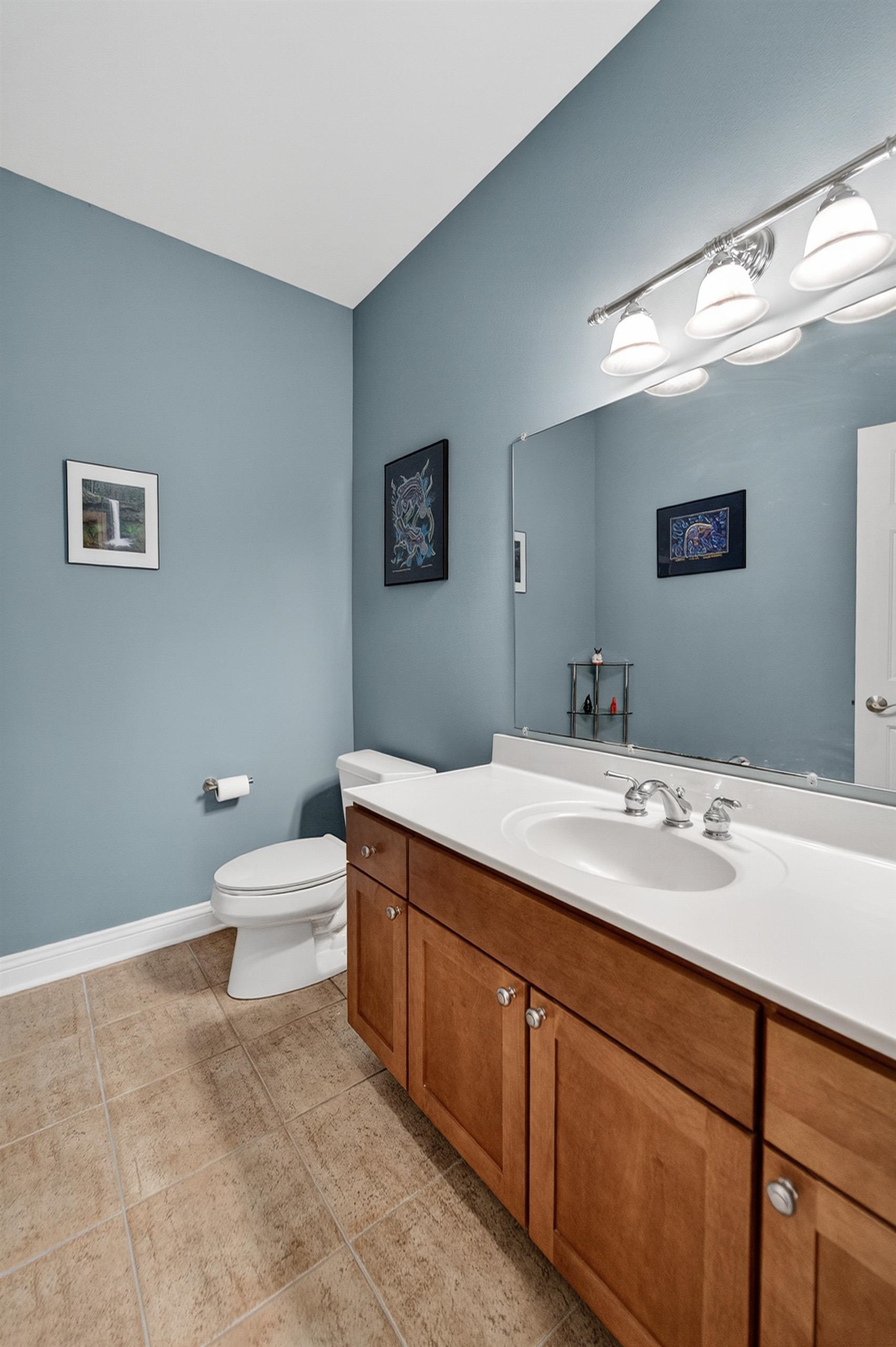 1117 Red Tail Drive
