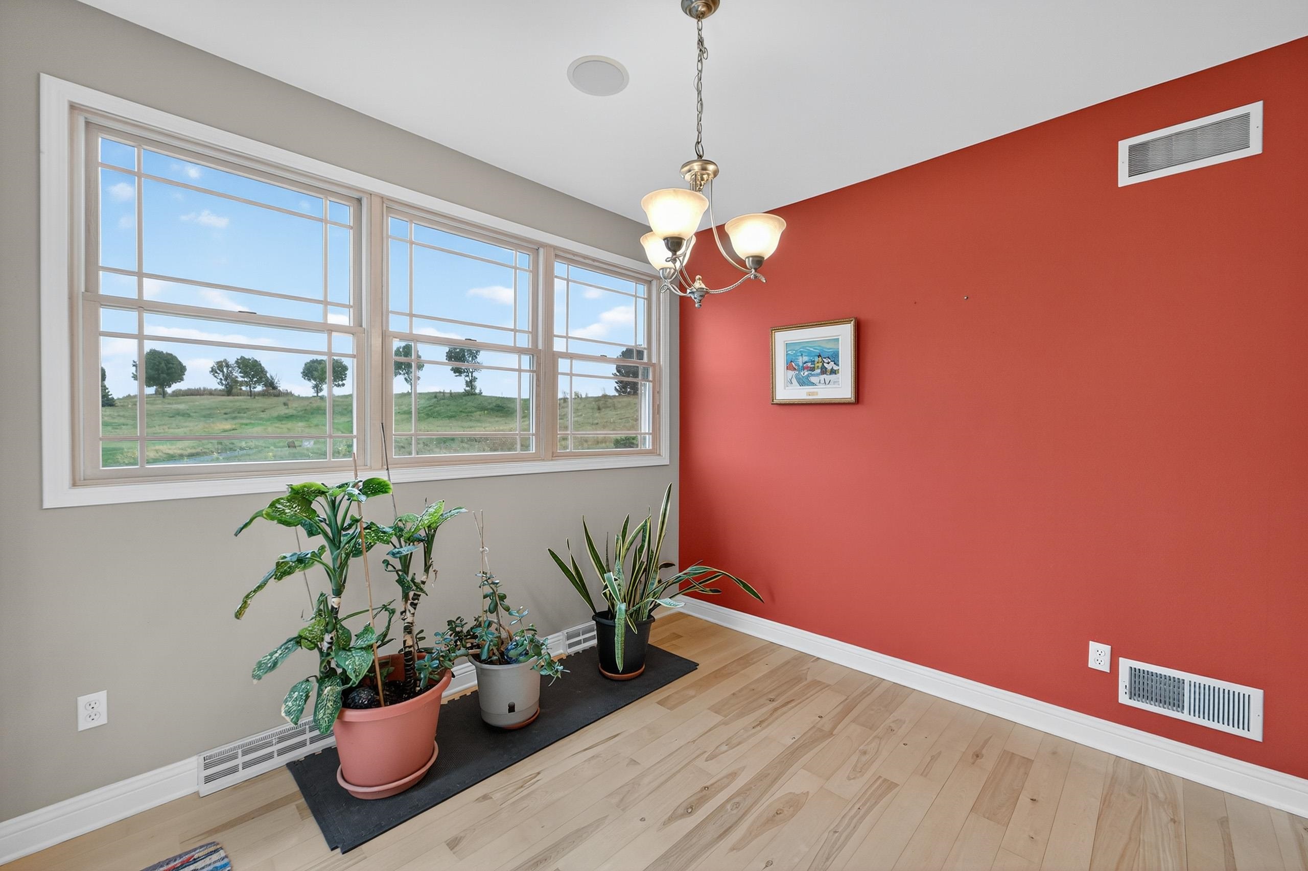 1117 Red Tail Drive