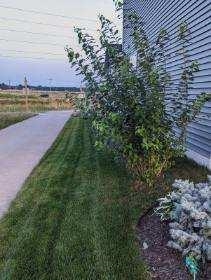 2473 Wildcat Drive