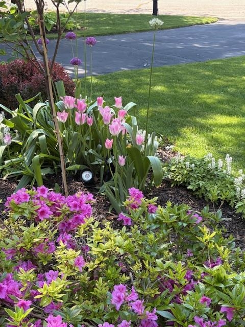 1939 Pine Ridge Drive