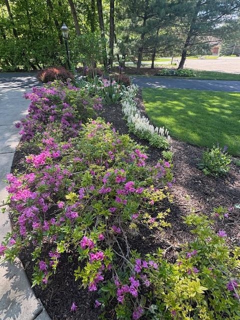 1939 Pine Ridge Drive