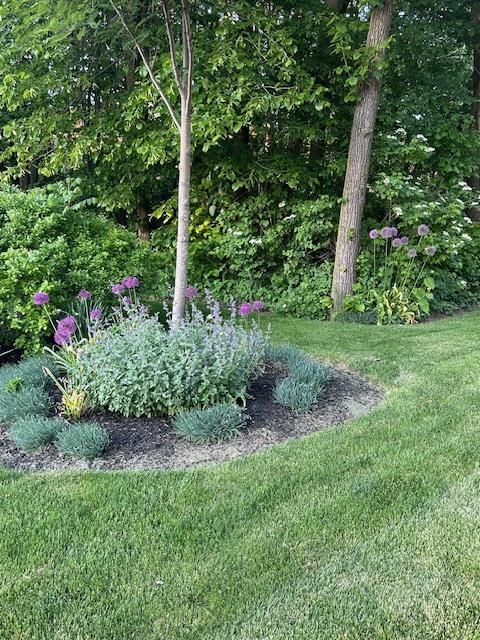 1939 Pine Ridge Drive