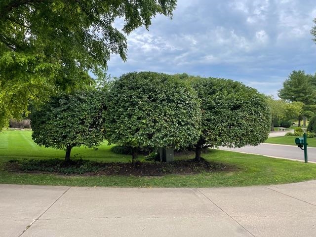 4606 Signature Drive