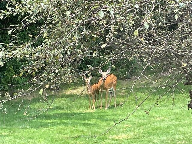 4606 Signature Drive