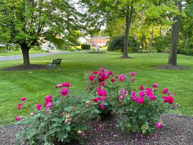 4606 Signature Drive