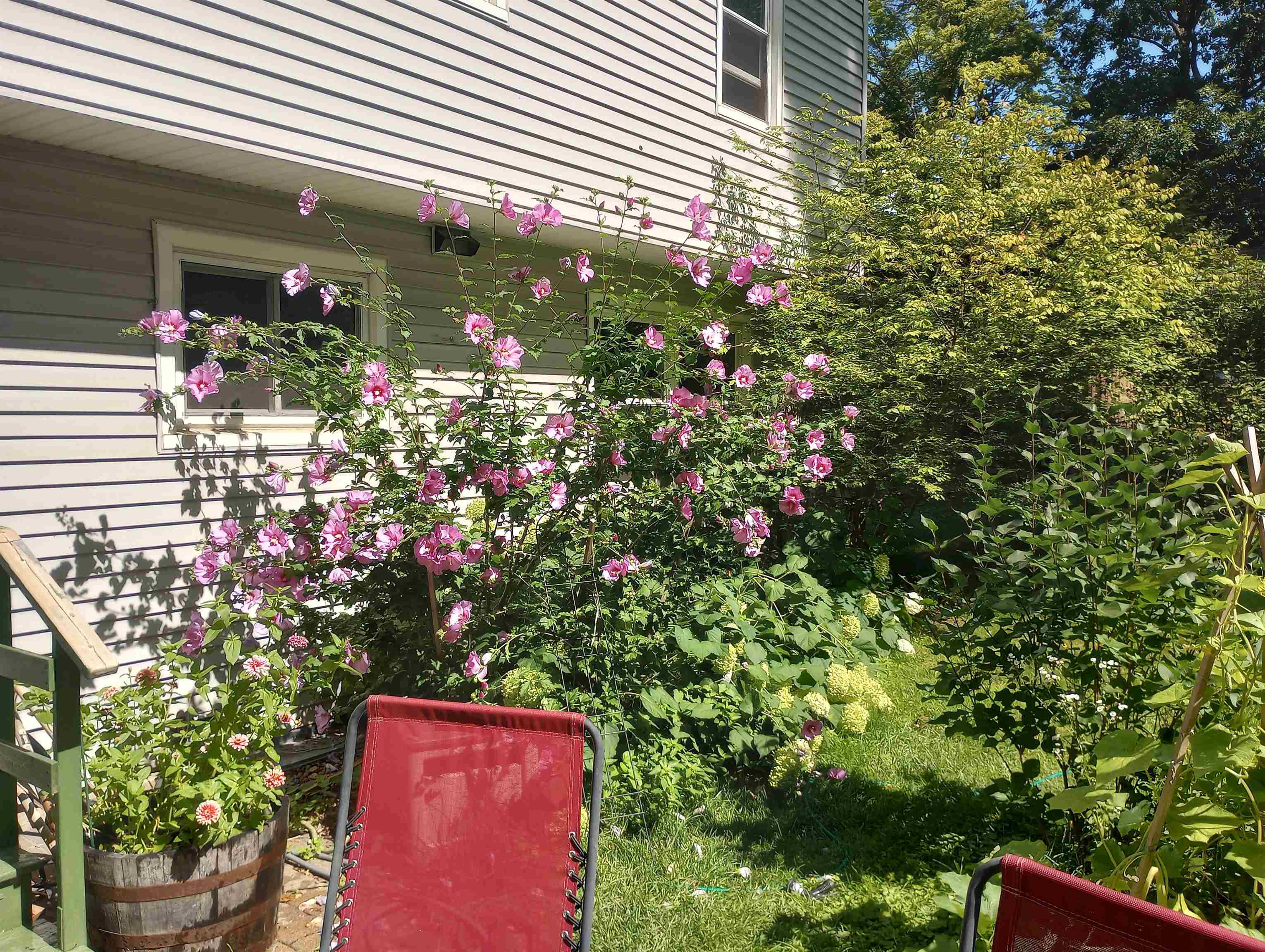 533 Shady Wood Way