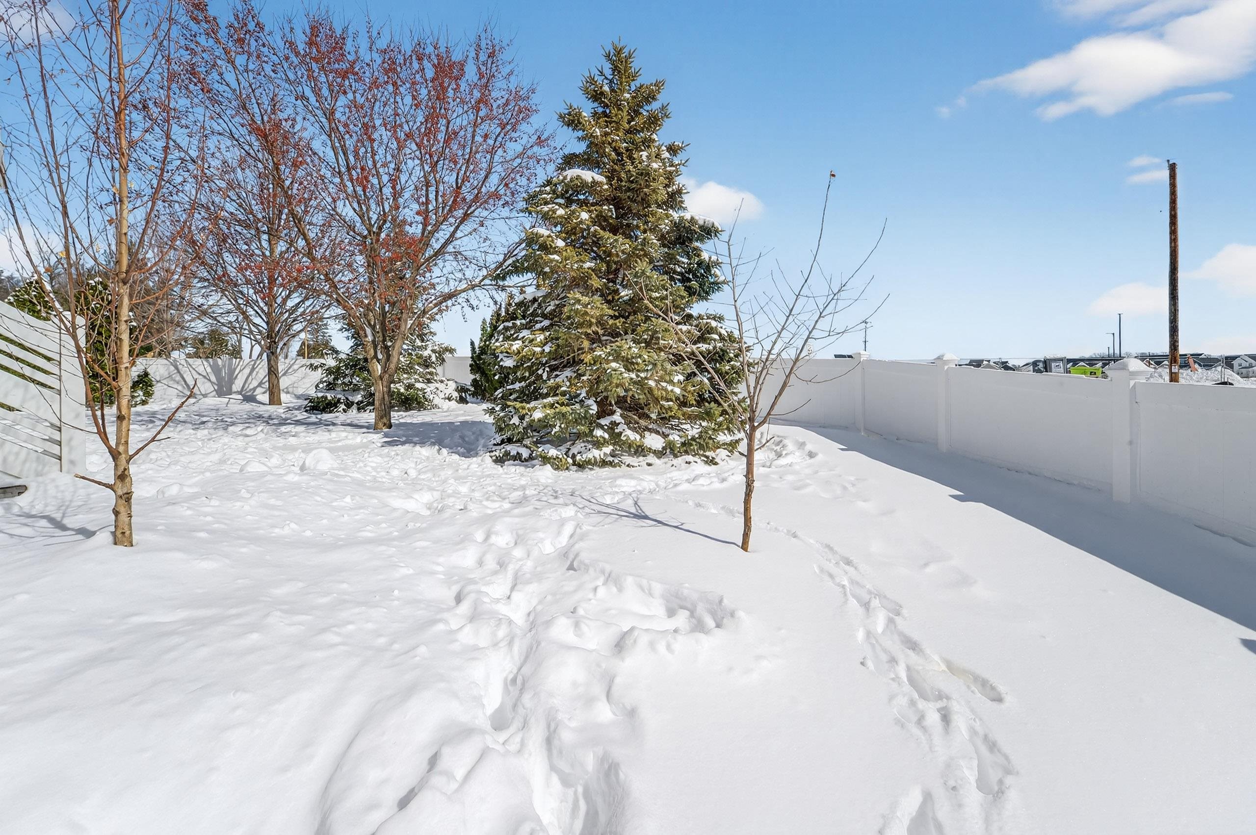 4427 Feather Lane