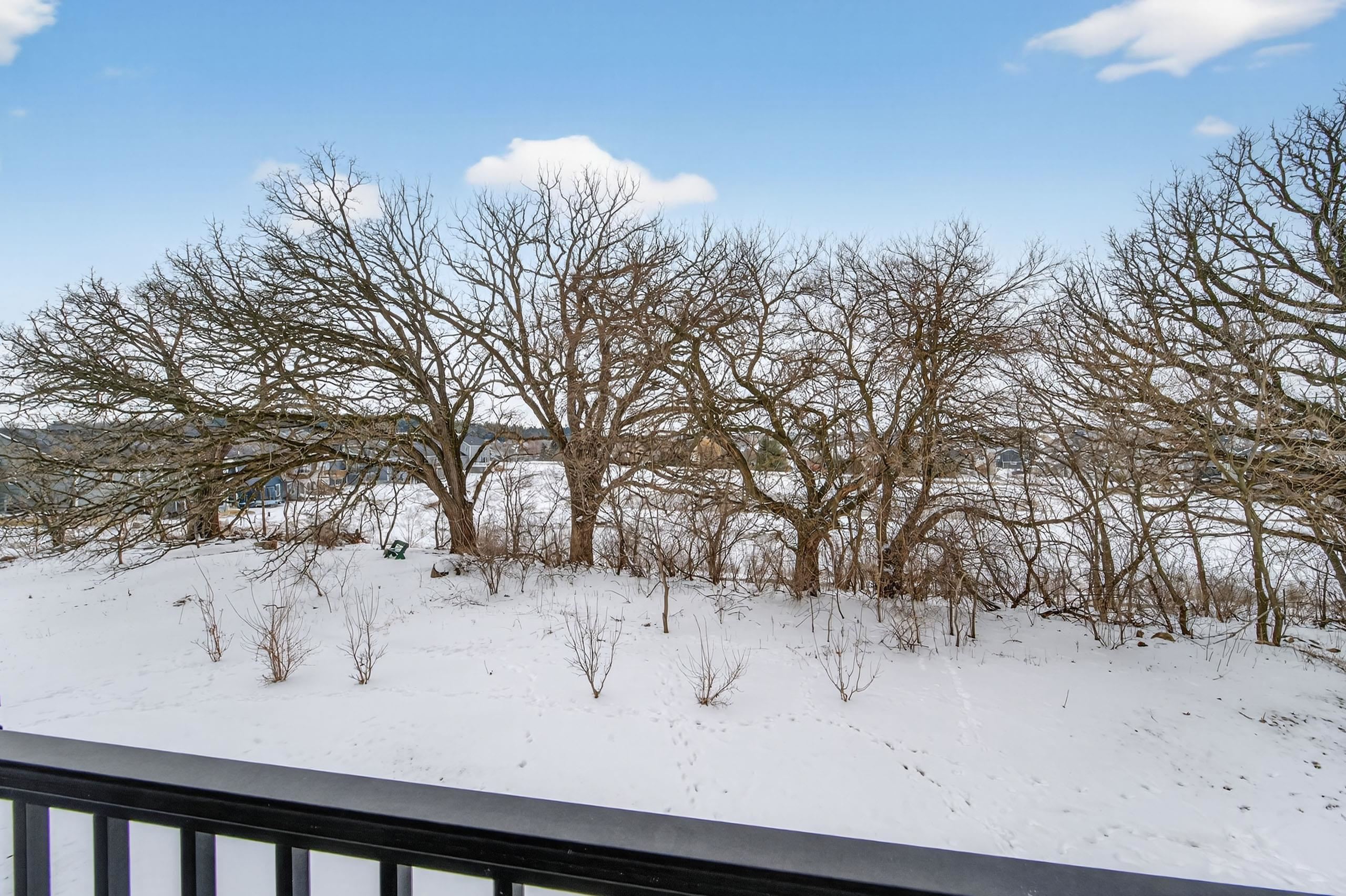 1164 Wild Willow Way