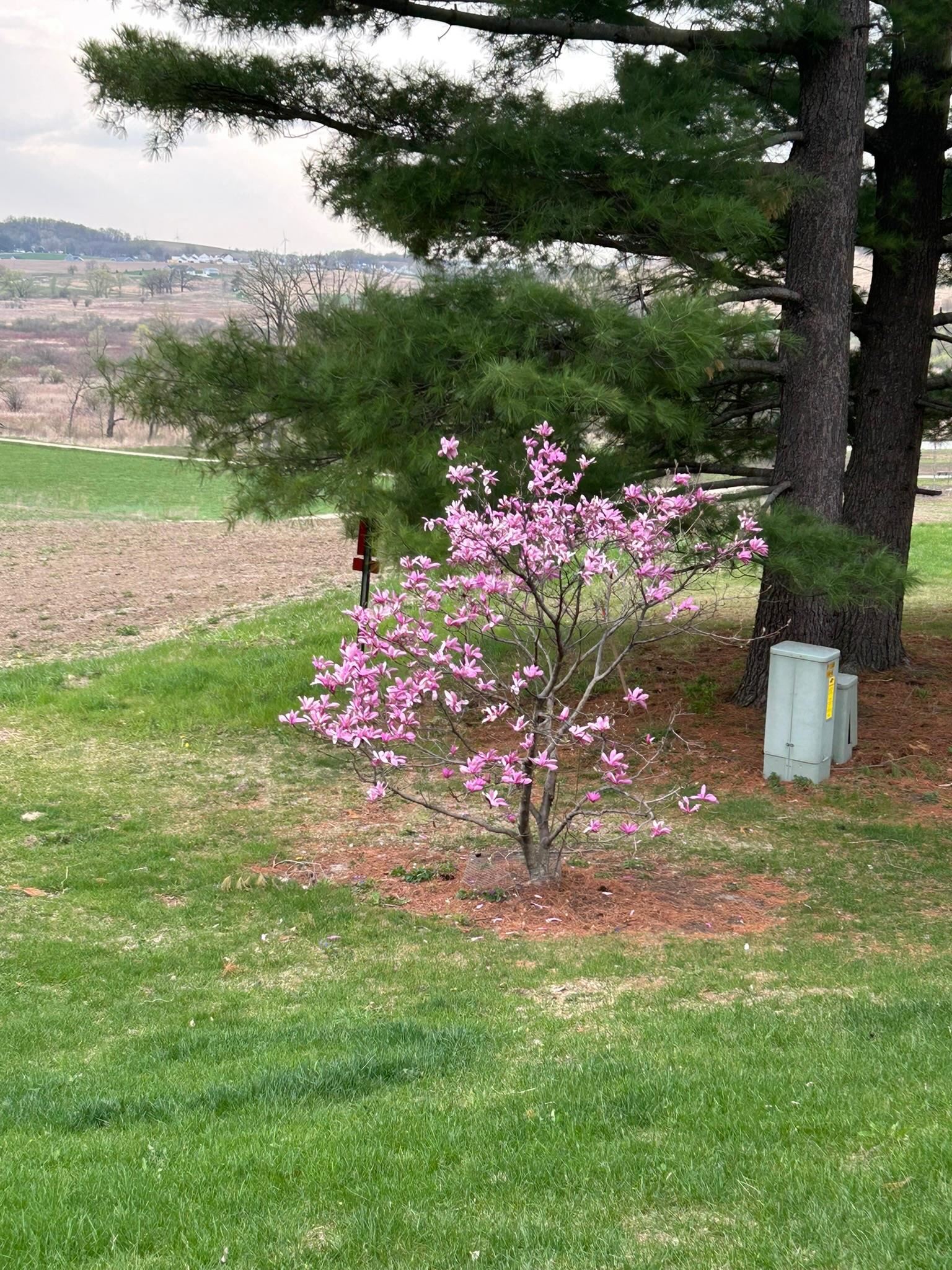 3542 Valley Ridge Road