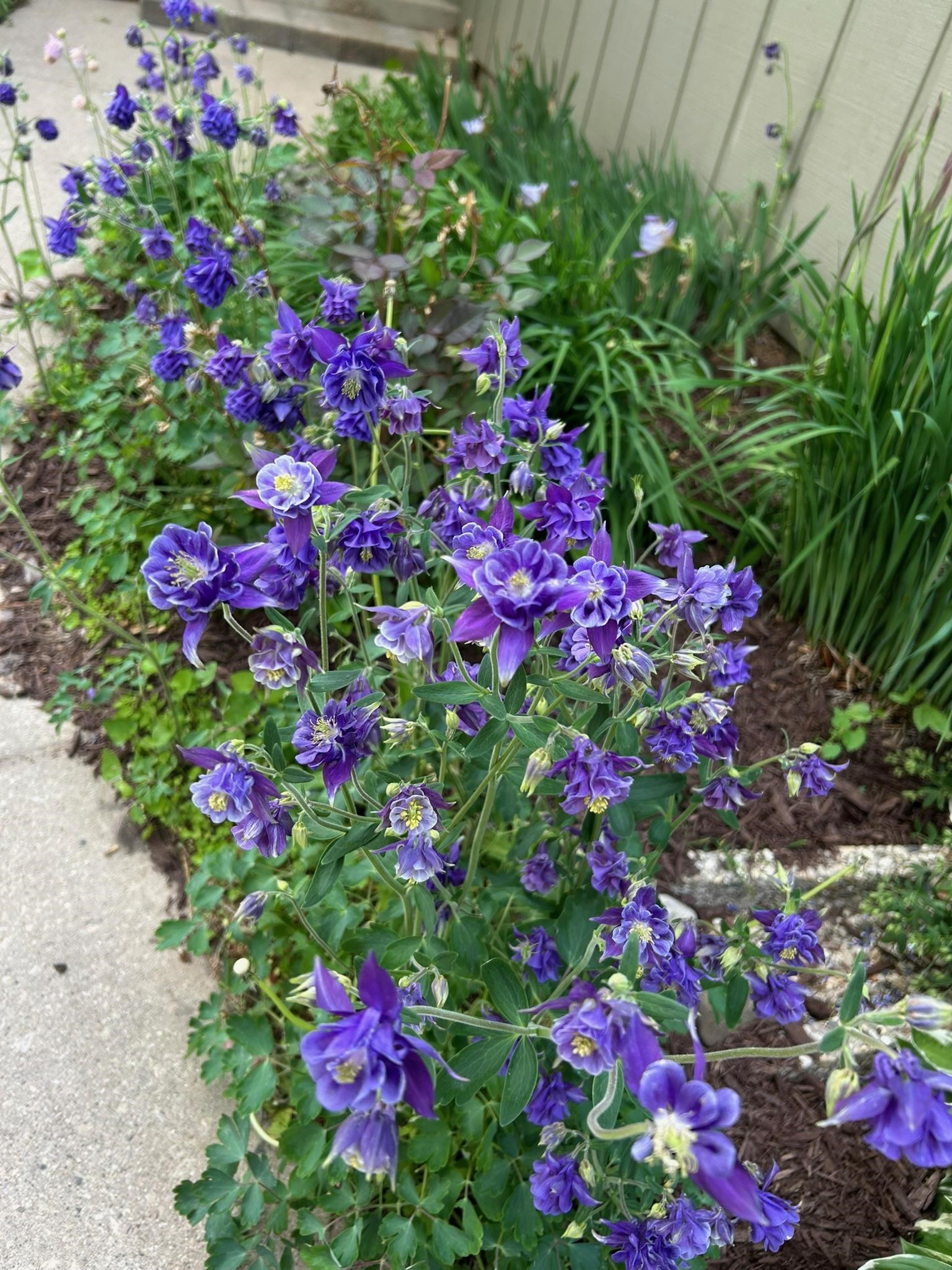 3542 Valley Ridge Road