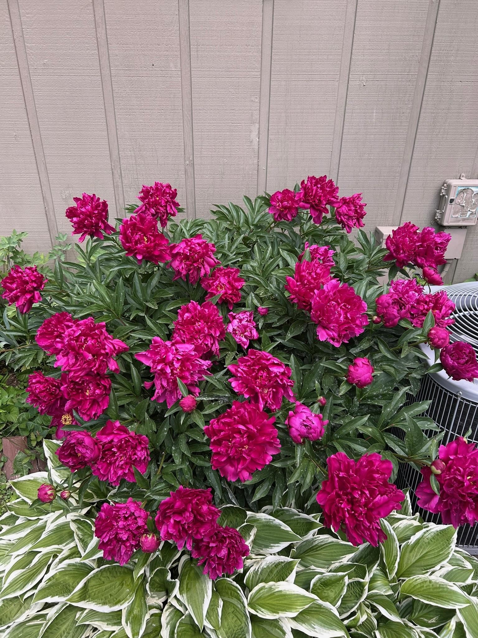 3542 Valley Ridge Road