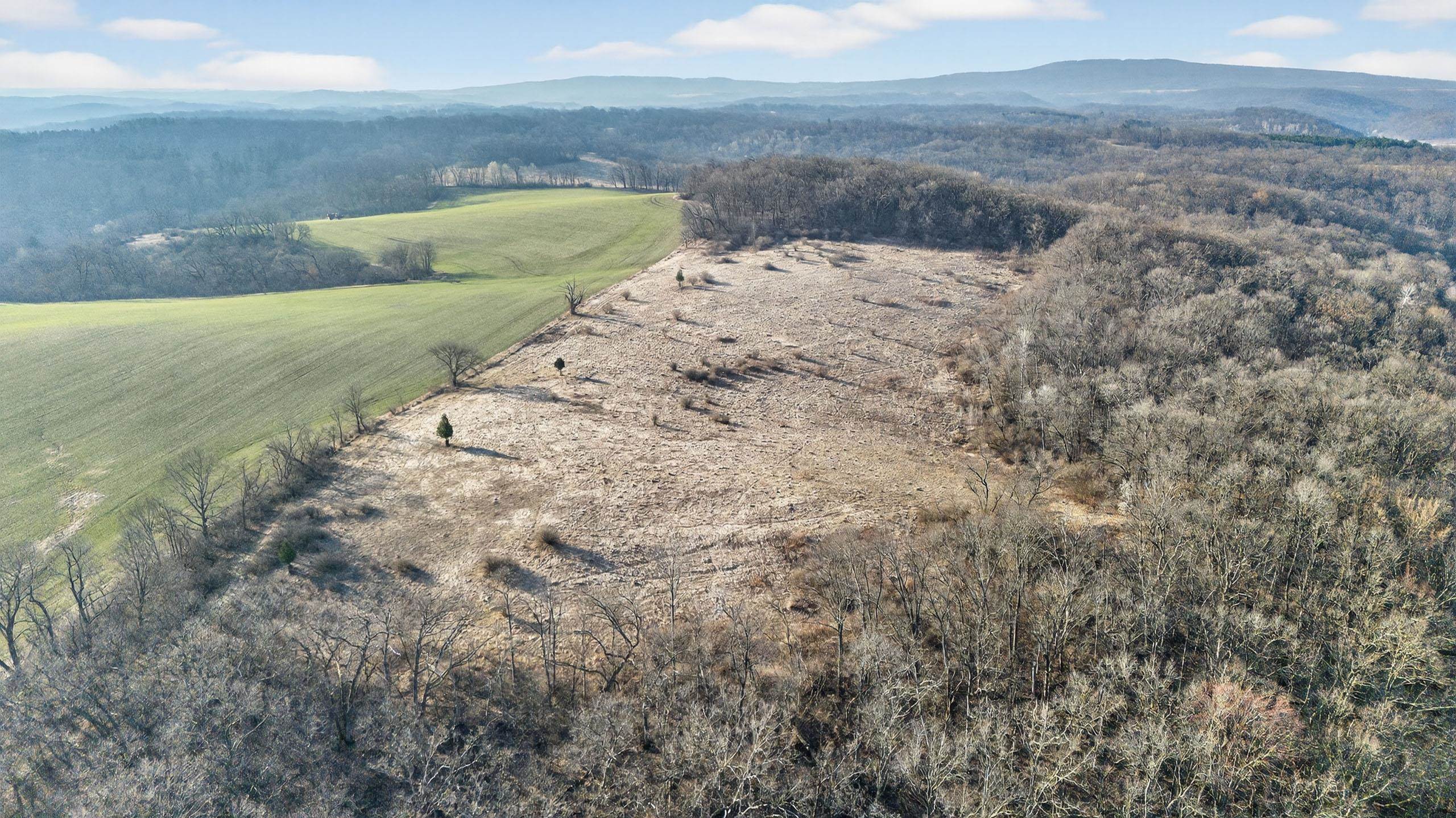 271.18 acres Zwettler/Foster Road