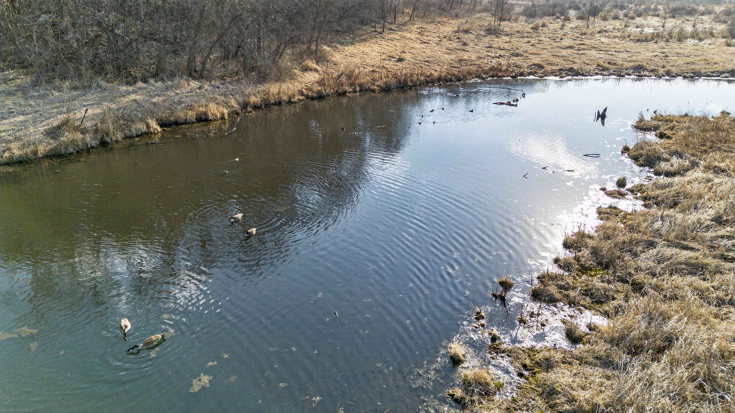 271.18 acres Zwettler/Foster Road