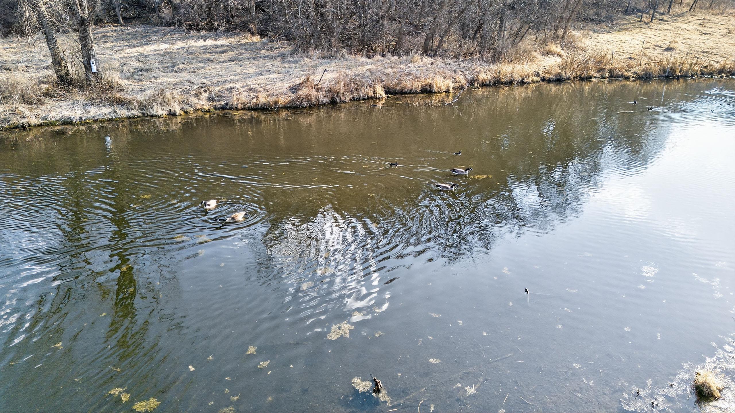 271.18 acres Zwettler/Foster Road