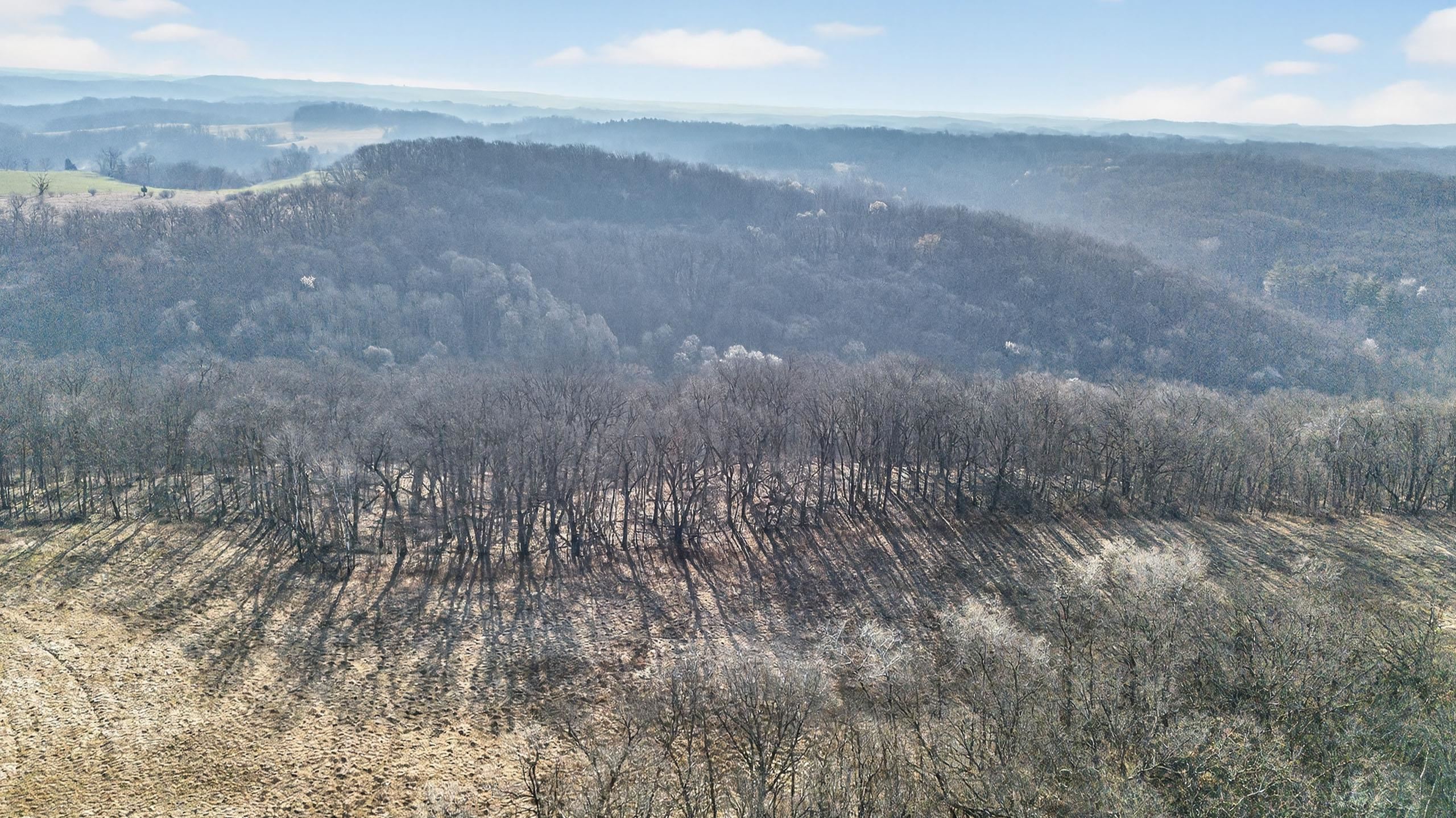 271.18 acres Zwettler/Foster Road