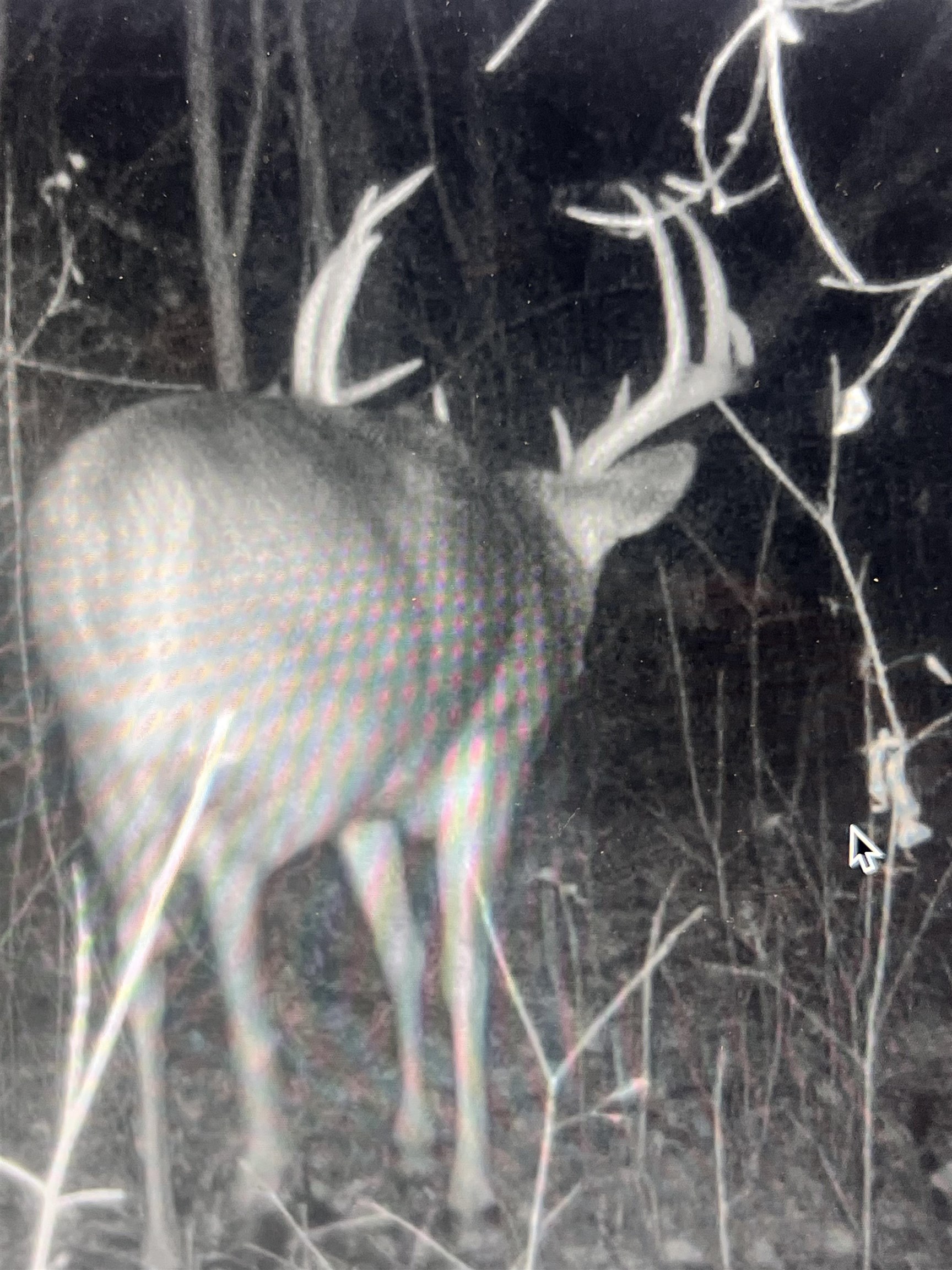 271.18 acres Zwettler/Foster Road