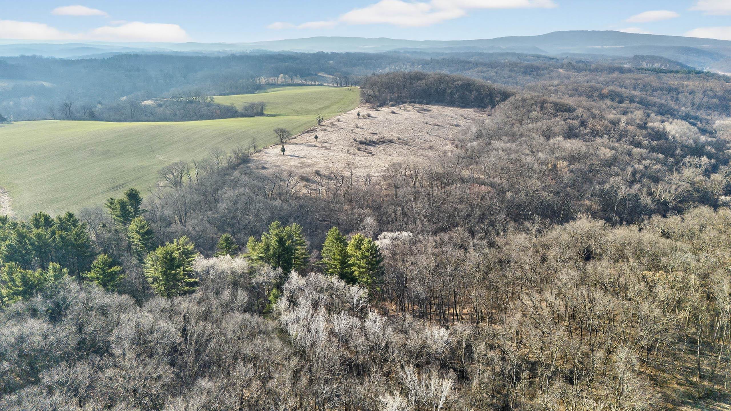 271.18 acres Zwettler/Foster Road