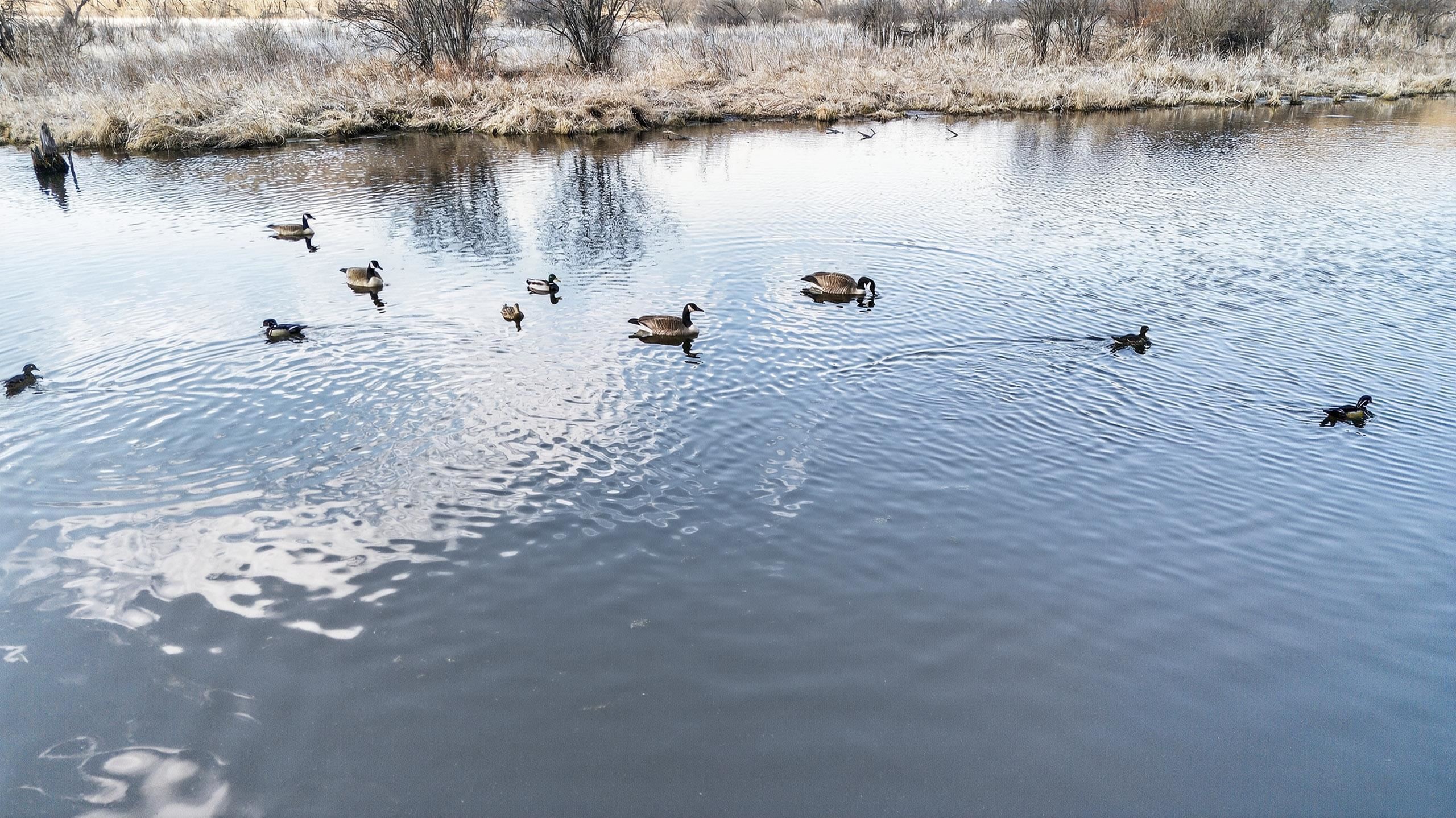 271.18 acres Zwettler/Foster Road