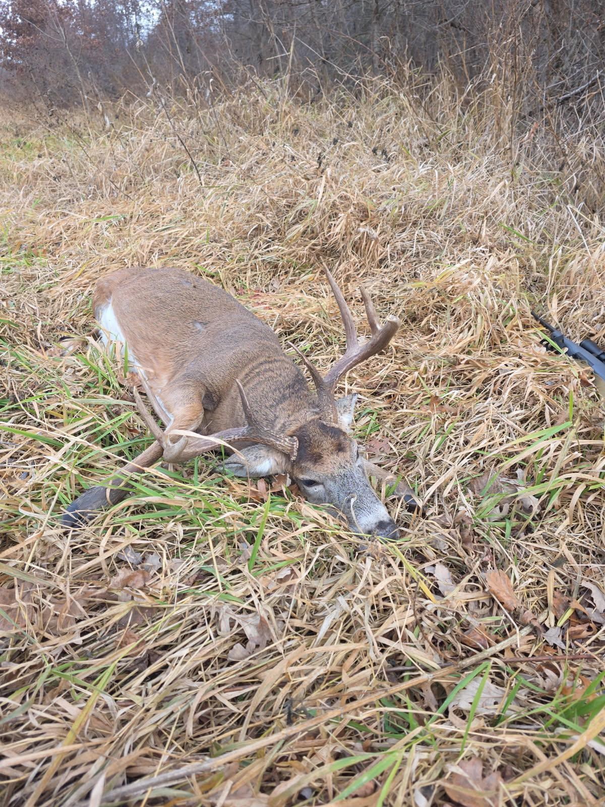 271.18 acres Zwettler/Foster Road