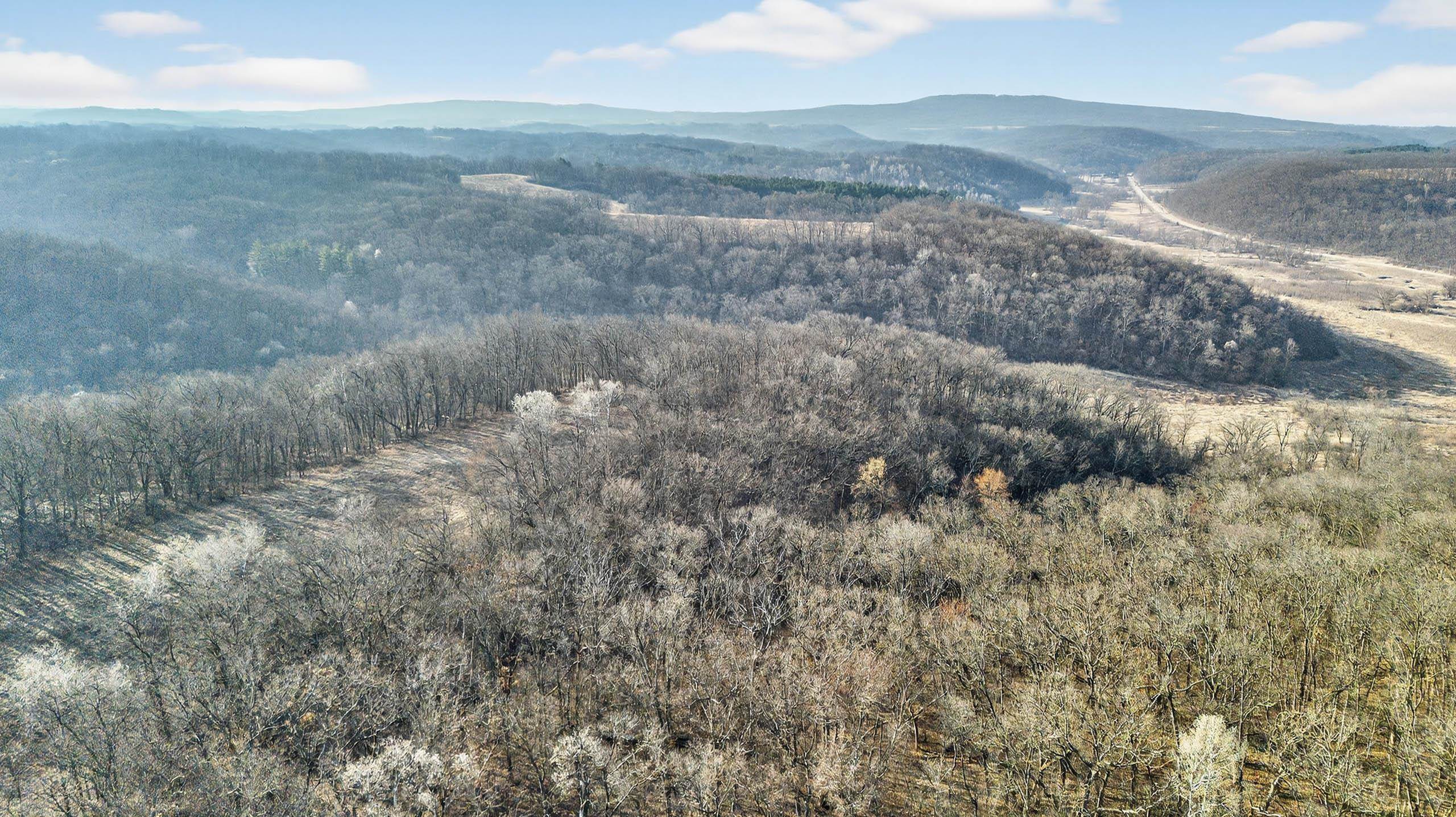 271.18 acres Zwettler/Foster Road