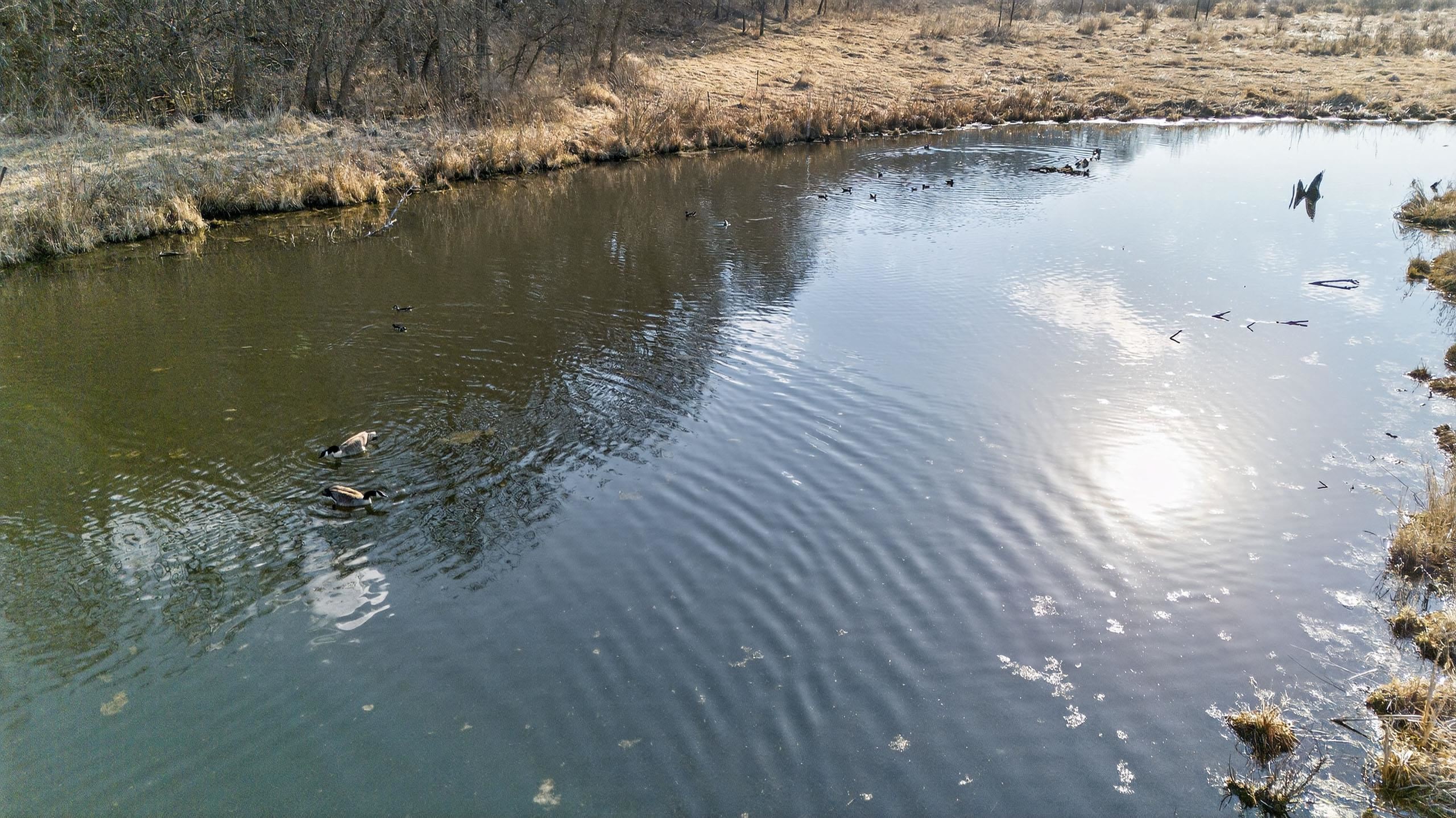 271.18 acres Zwettler/Foster Road