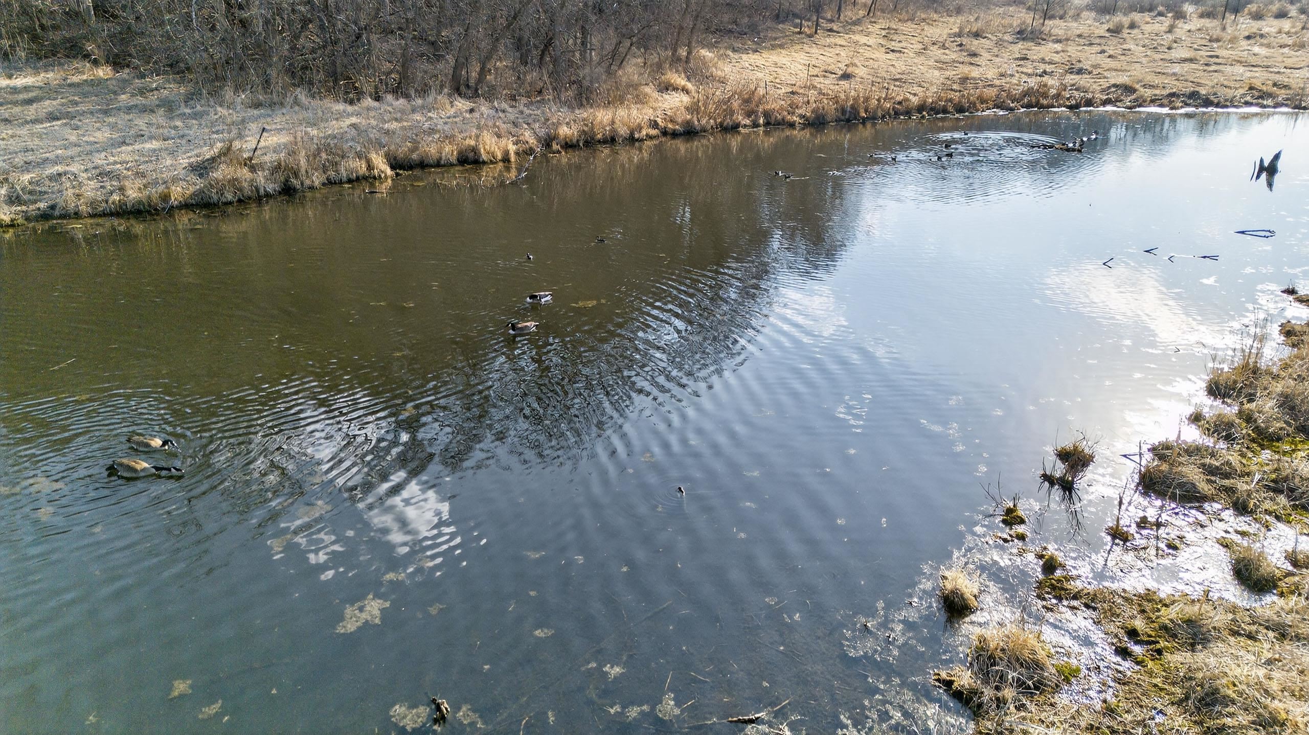 271.18 acres Zwettler/Foster Road