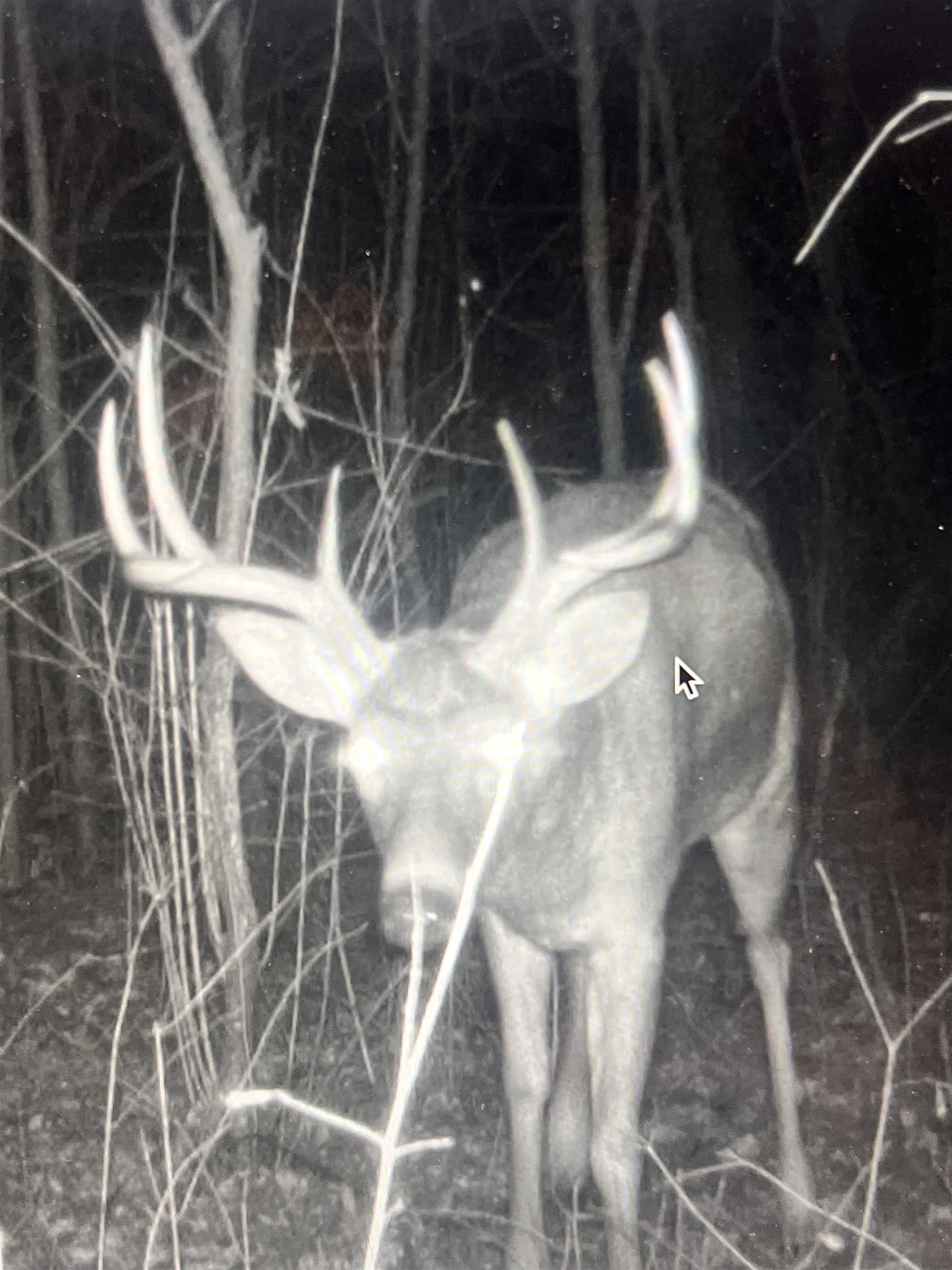 271.18 acres Zwettler/Foster Road