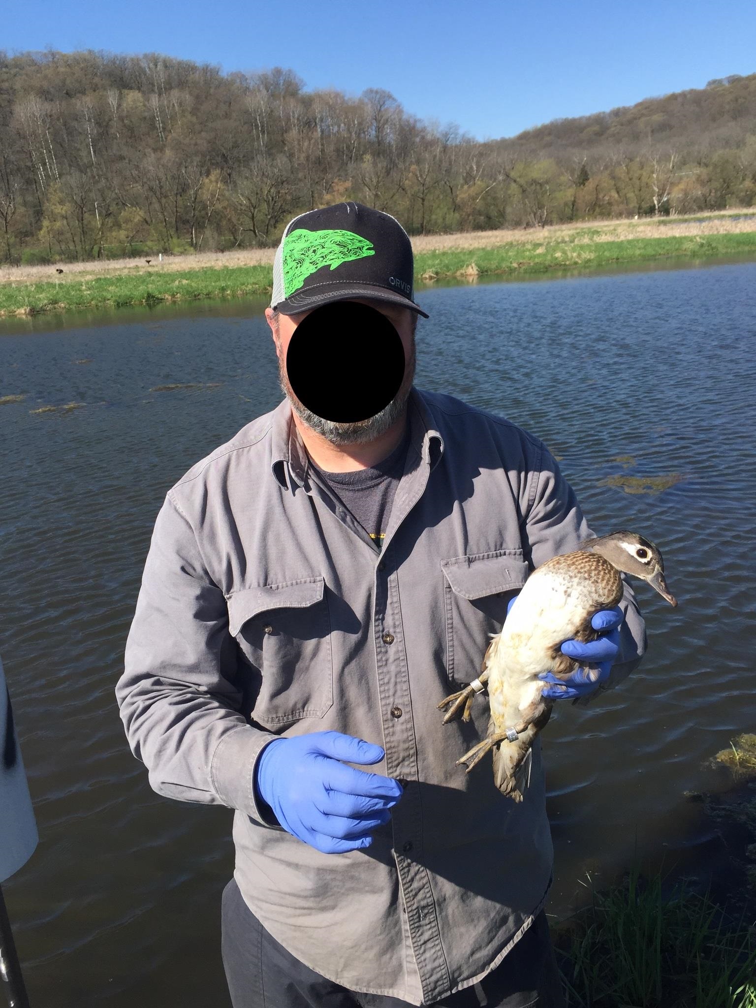 271.18 acres Zwettler/Foster Road