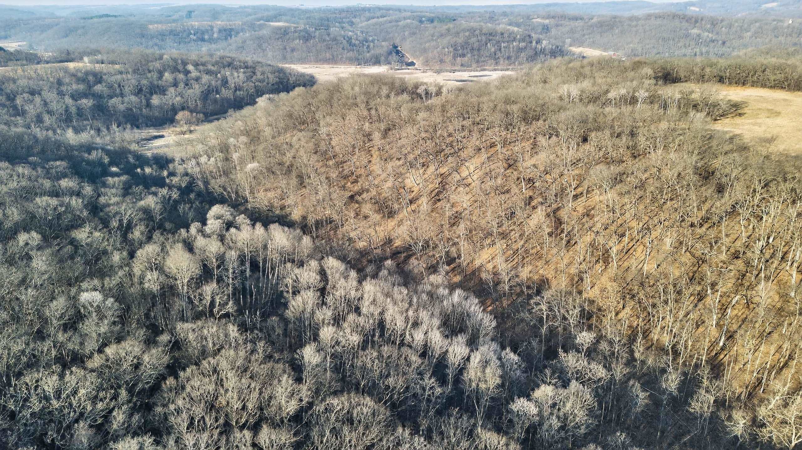 271.18 acres Zwettler/Foster Road