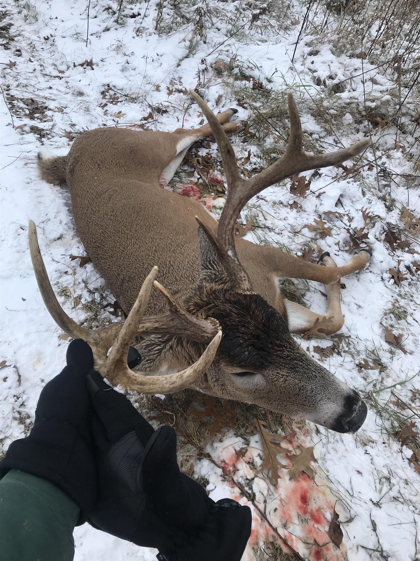 271.18 acres Zwettler/Foster Road