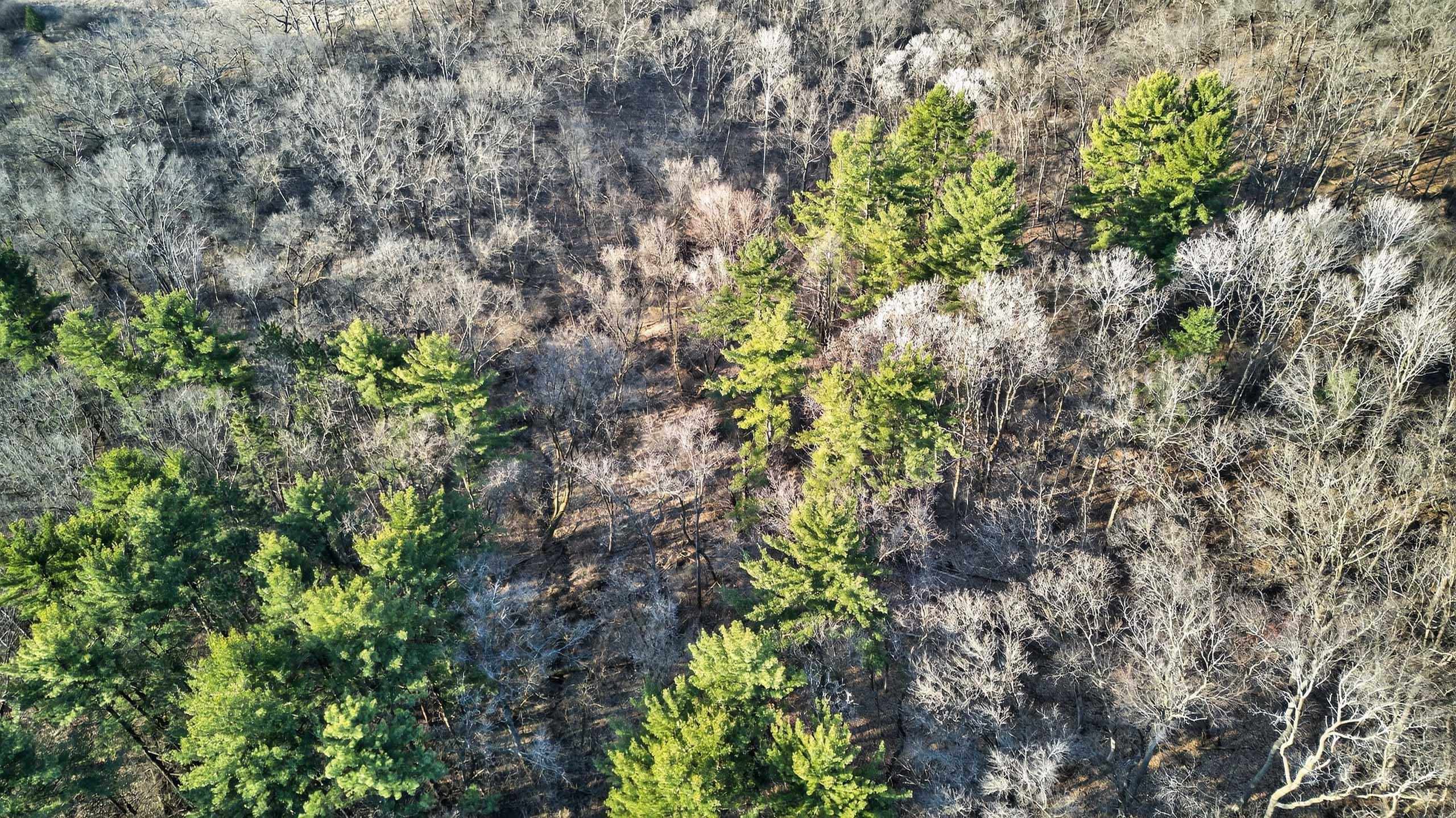 271.18 acres Zwettler/Foster Road