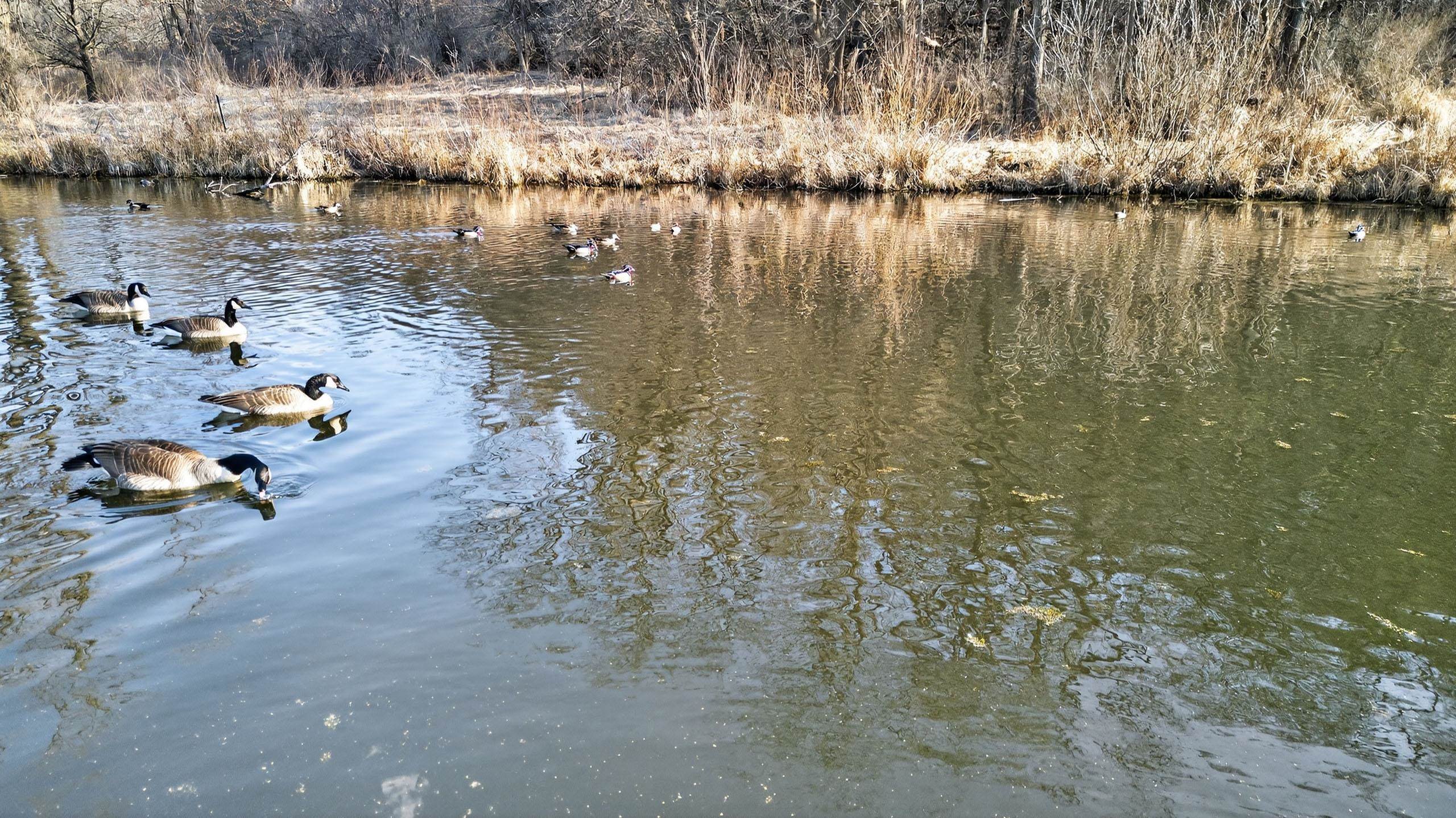 271.18 acres Zwettler/Foster Road