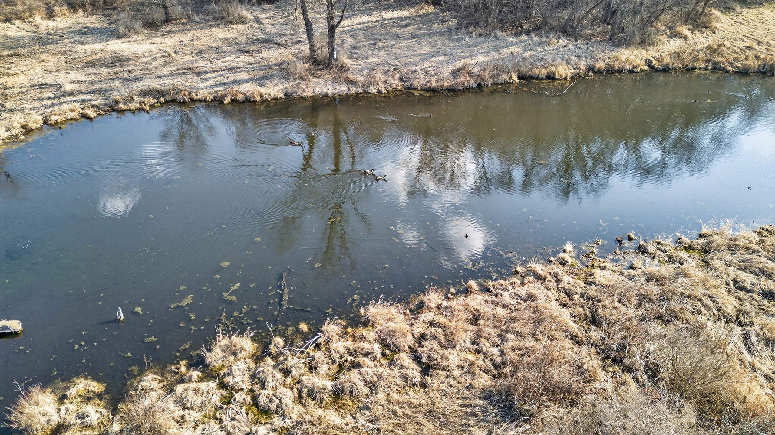 271.18 acres Zwettler/Foster Road