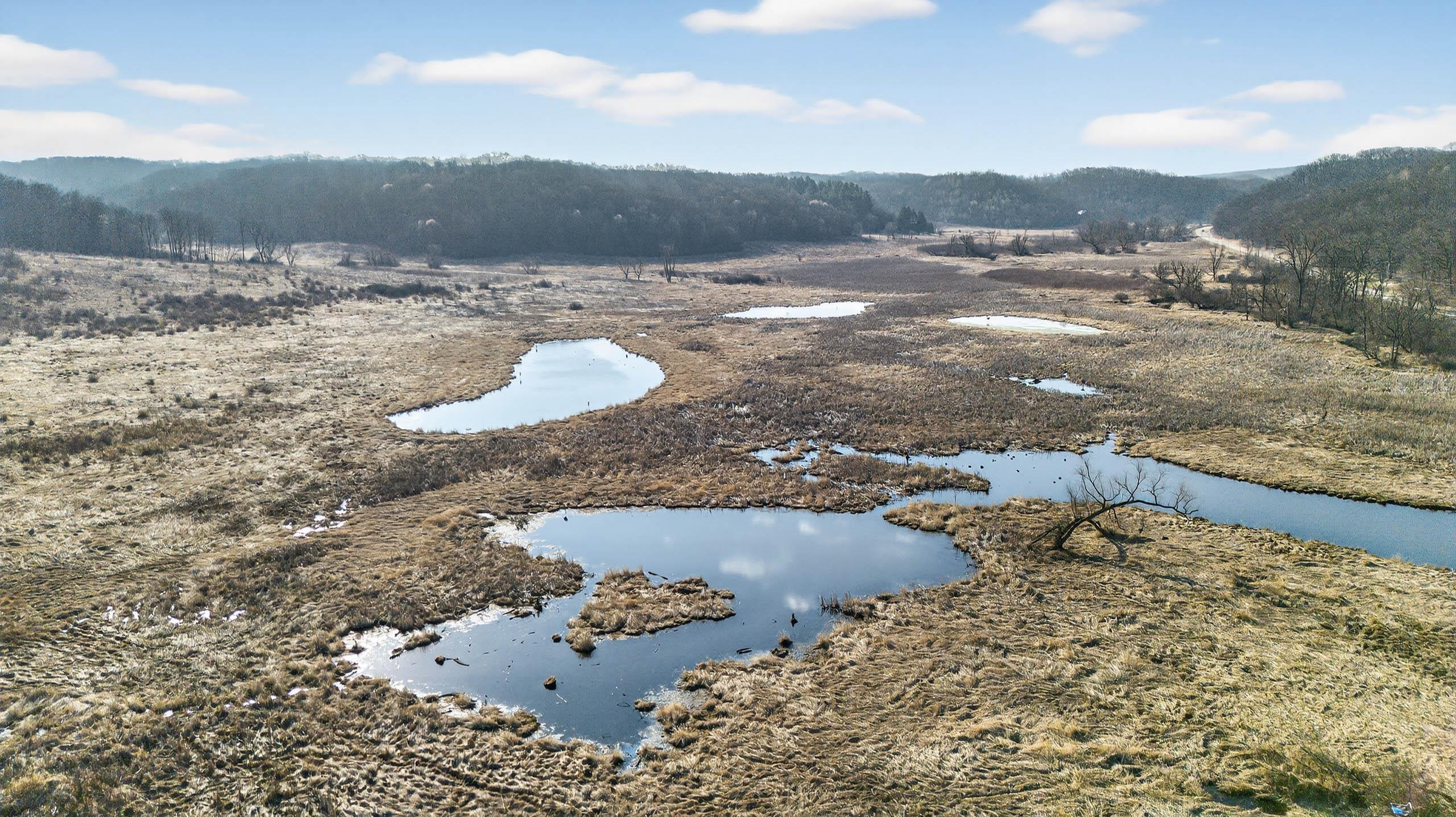 271.18 acres Zwettler/Foster Road