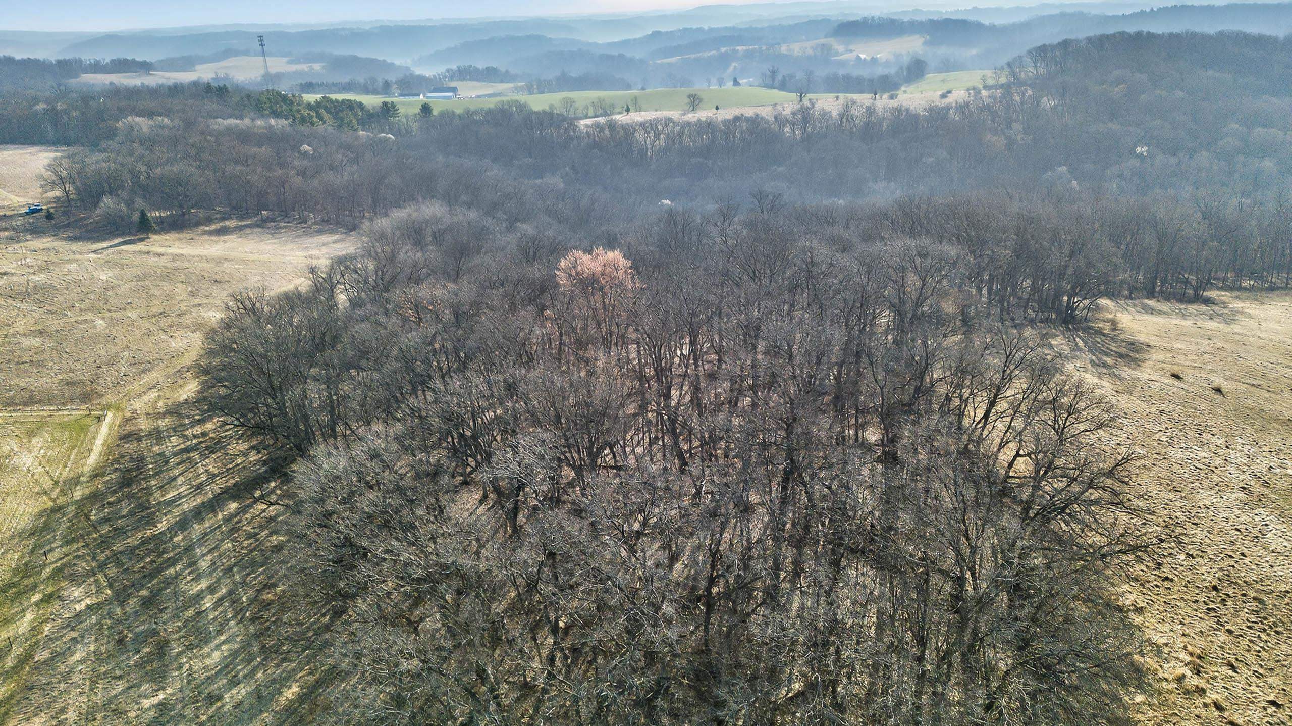 271.18 acres Zwettler/Foster Road