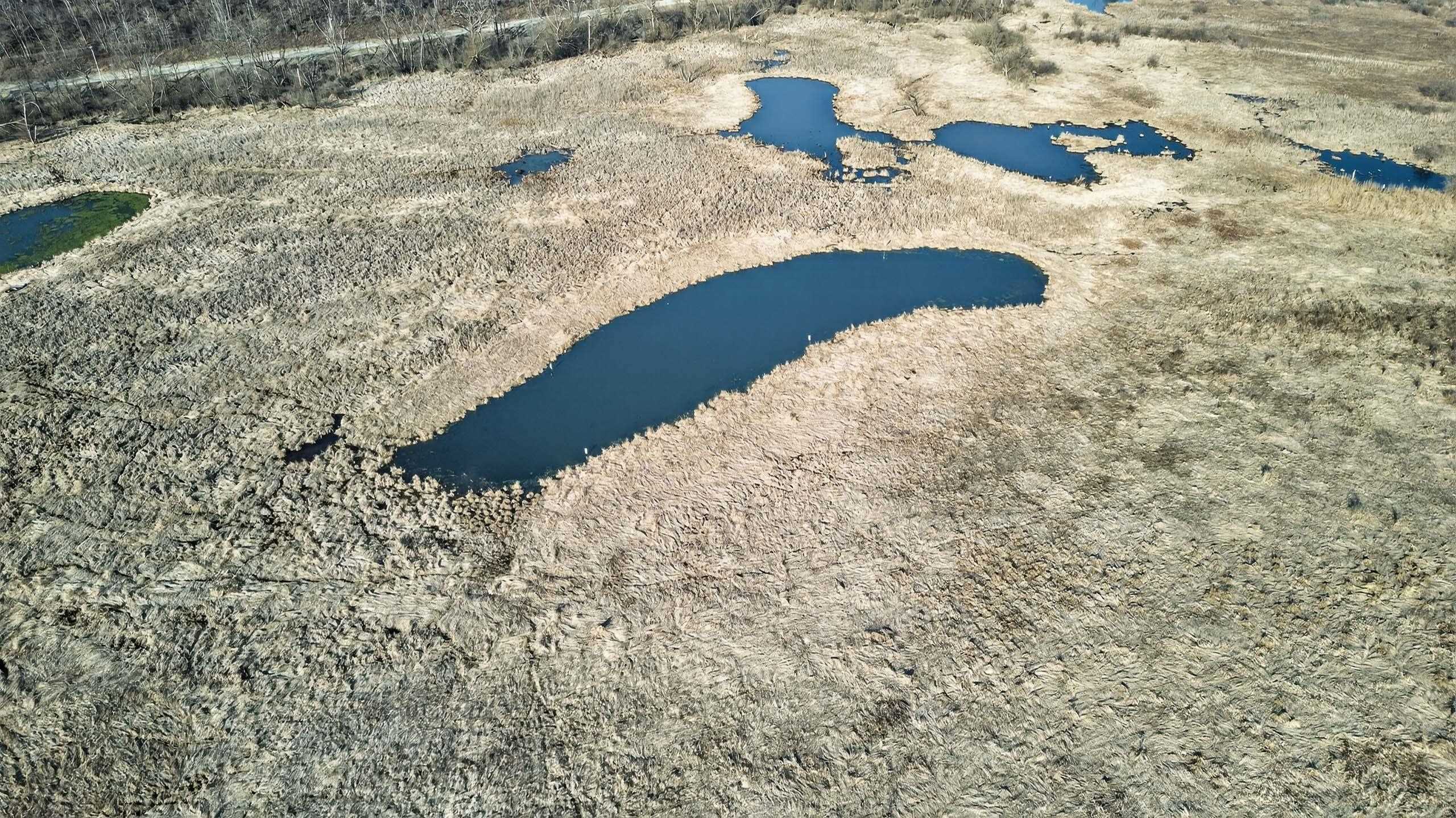 271.18 acres Zwettler/Foster Road