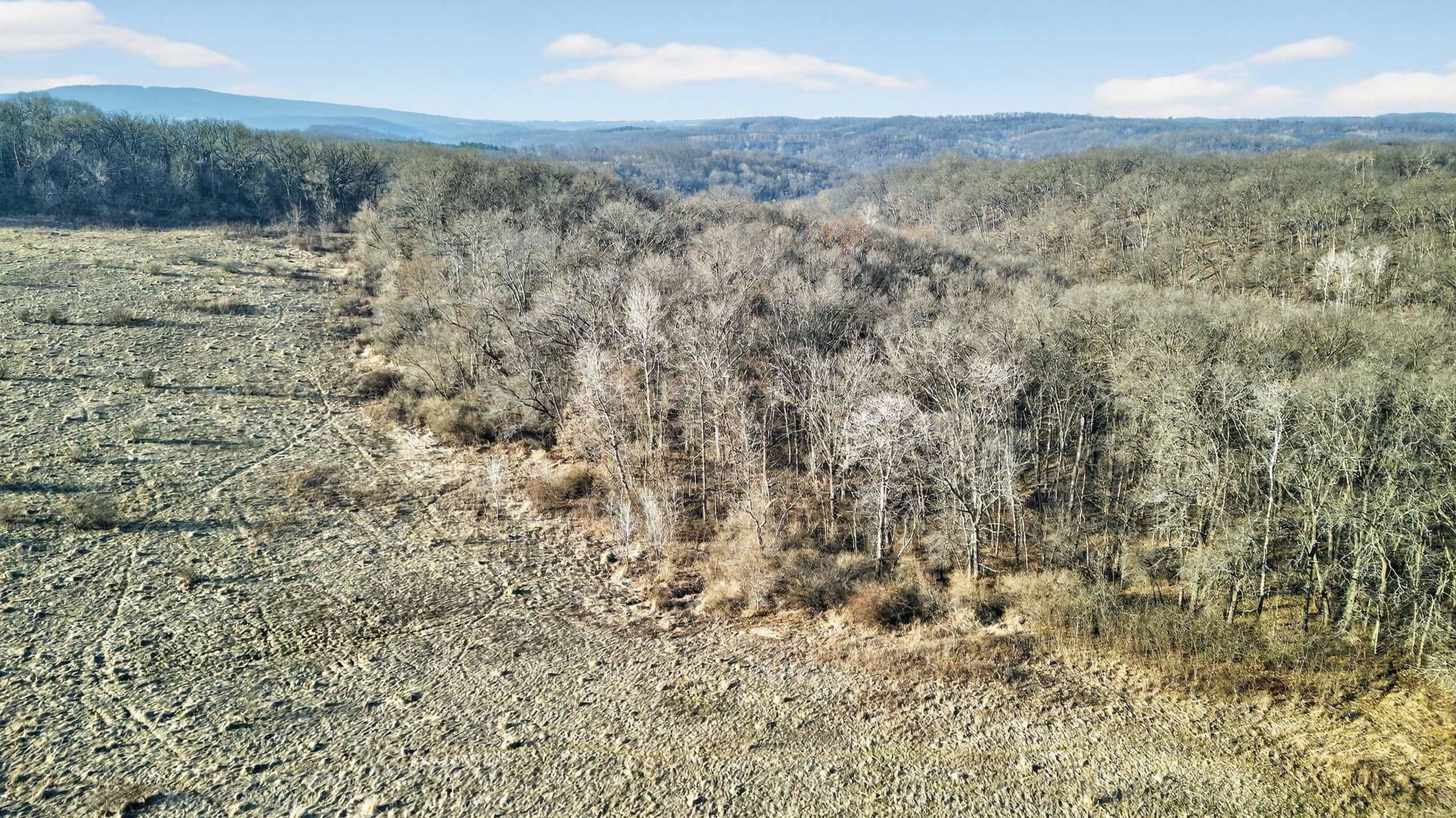 271.18 acres Zwettler/Foster Road