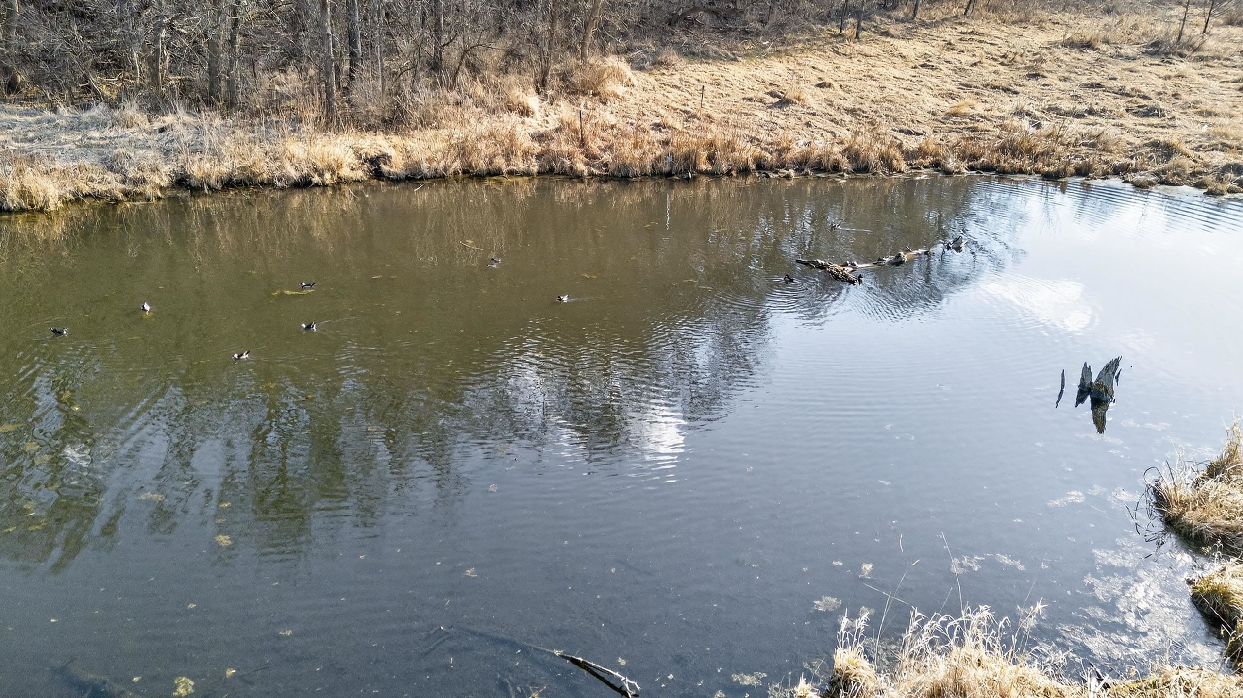 271.18 acres Zwettler/Foster Road