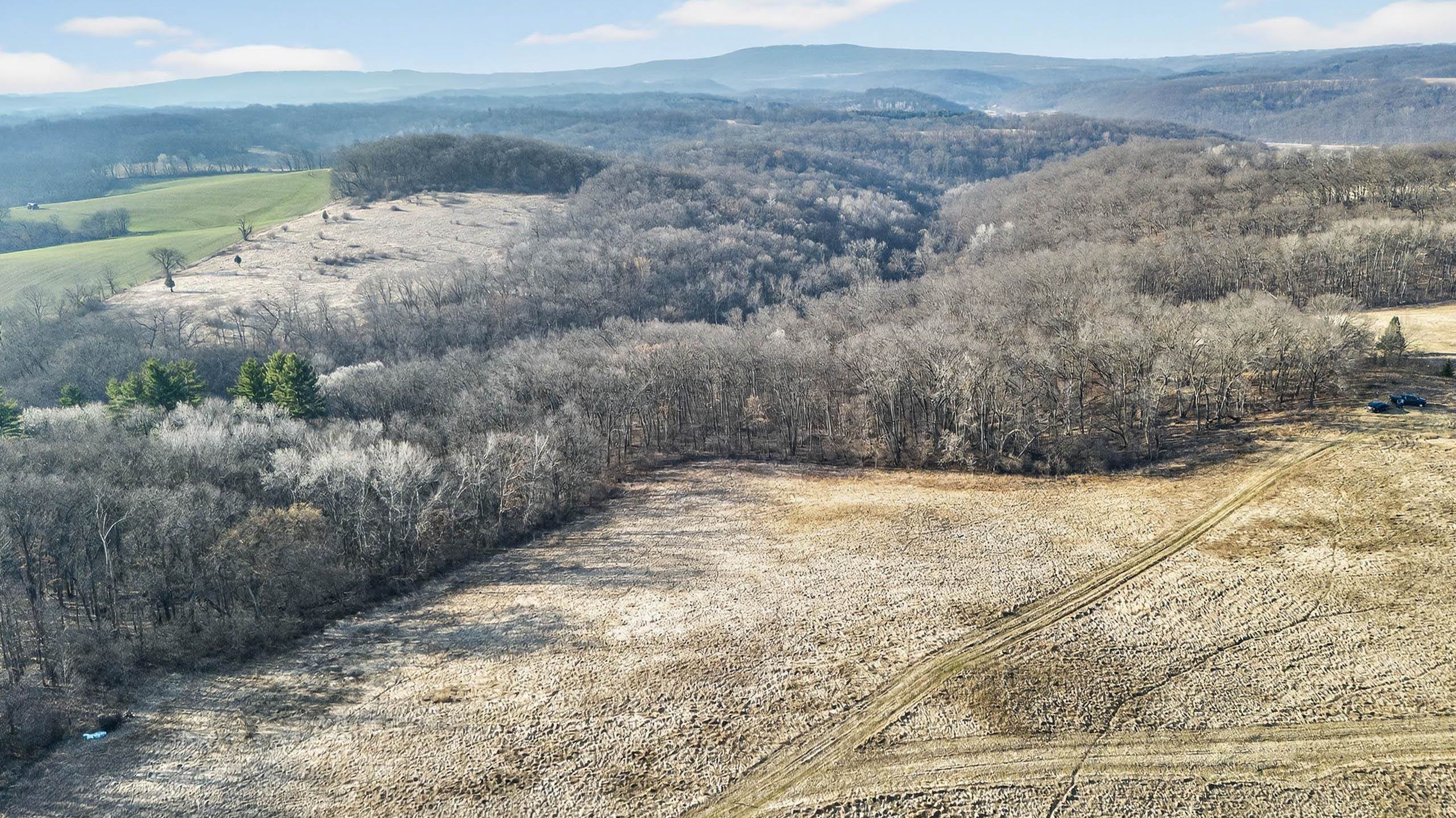 271.18 acres Zwettler/Foster Road