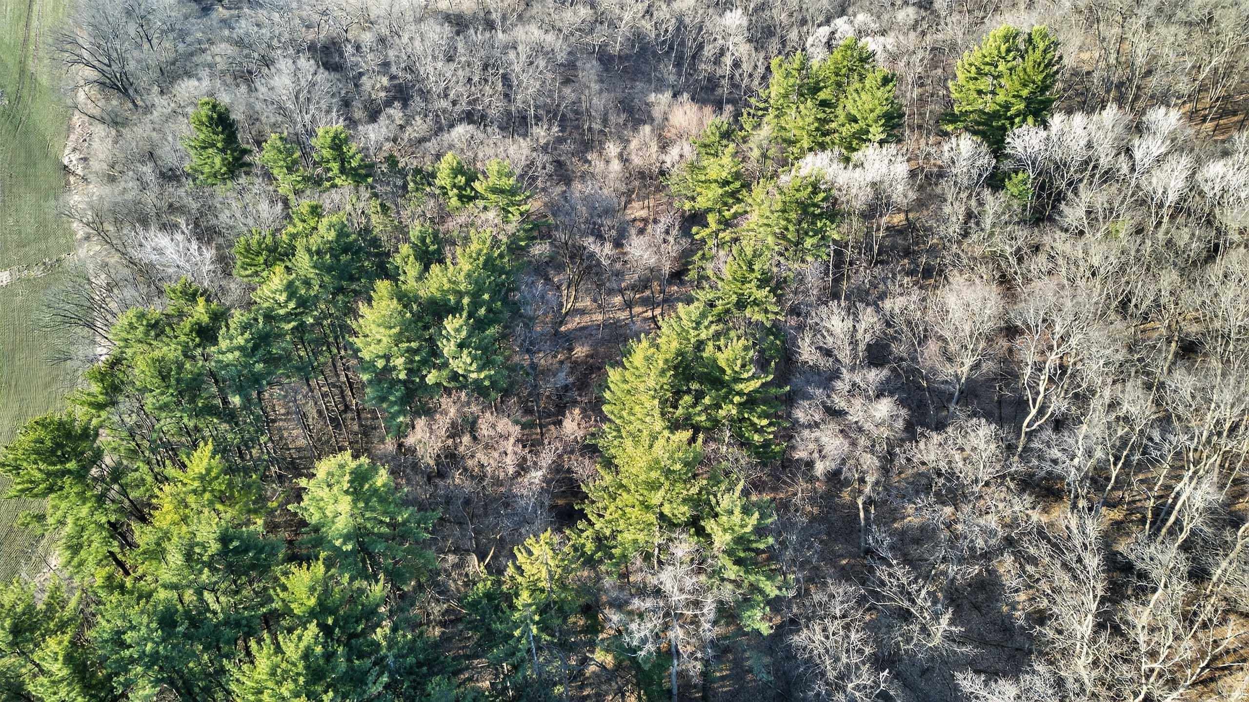 271.18 acres Zwettler/Foster Road