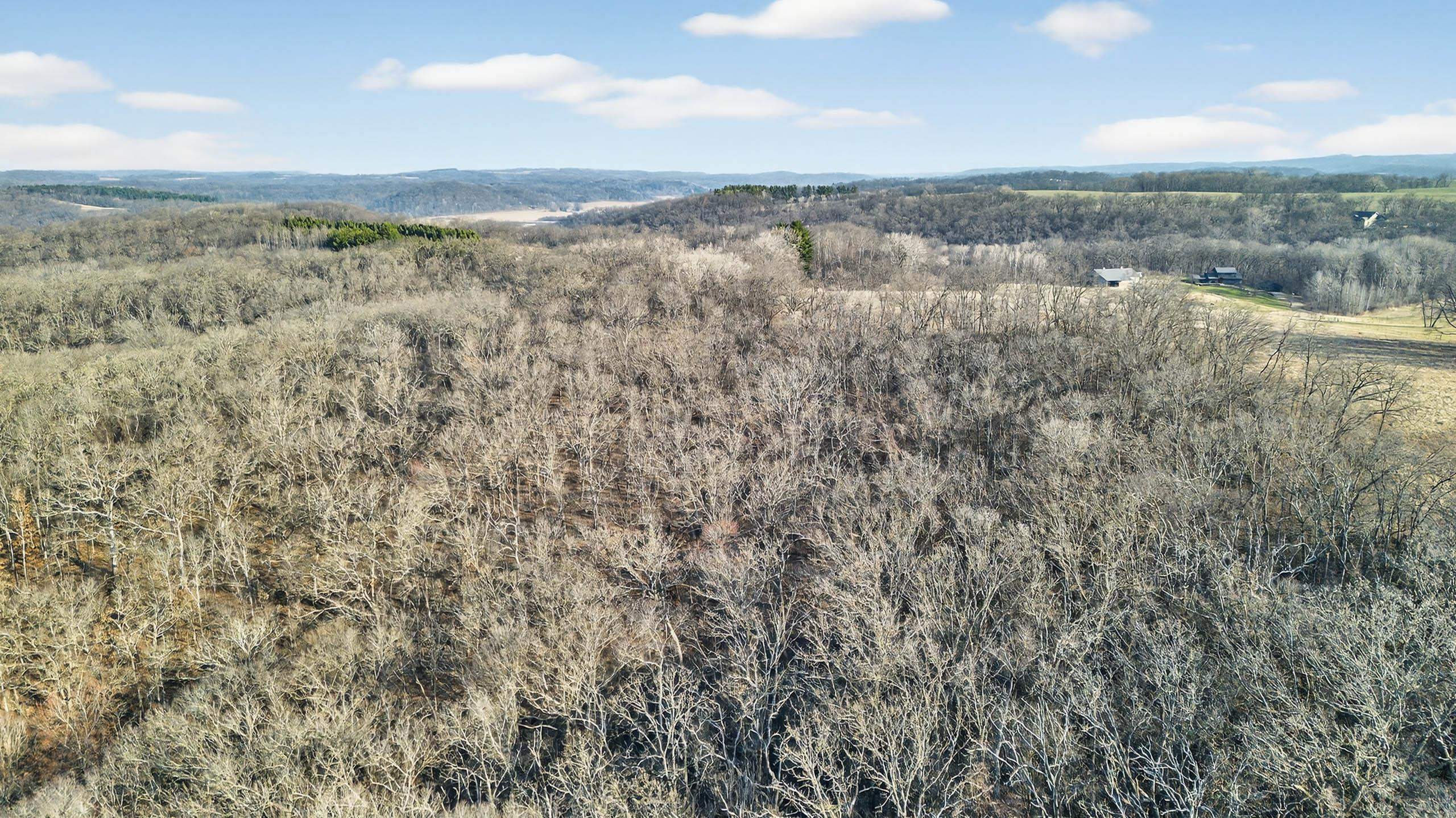 271.18 acres Zwettler/Foster Road