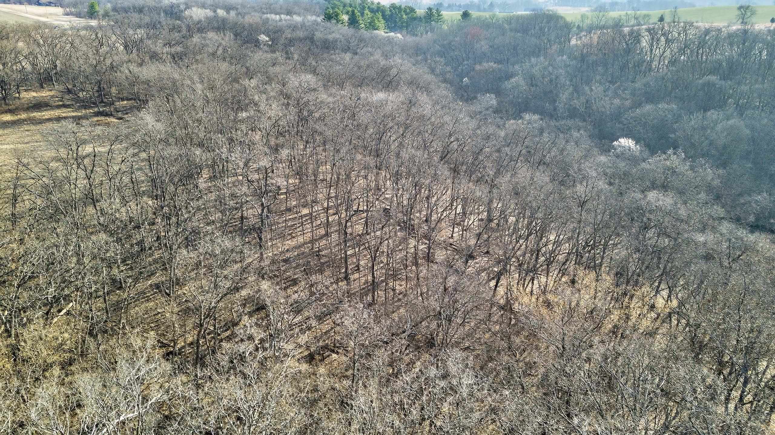 271.18 acres Zwettler/Foster Road