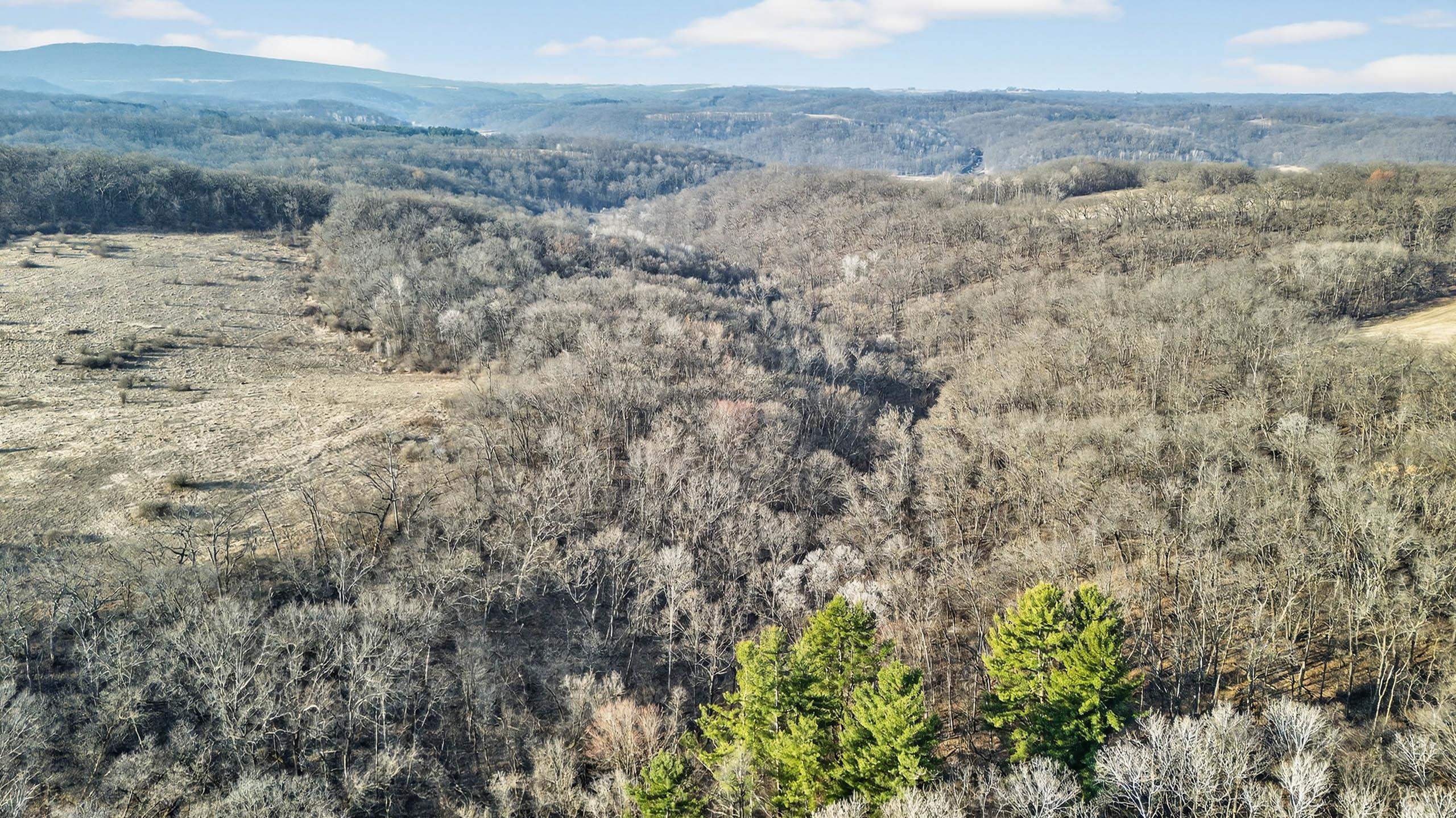 271.18 acres Zwettler/Foster Road