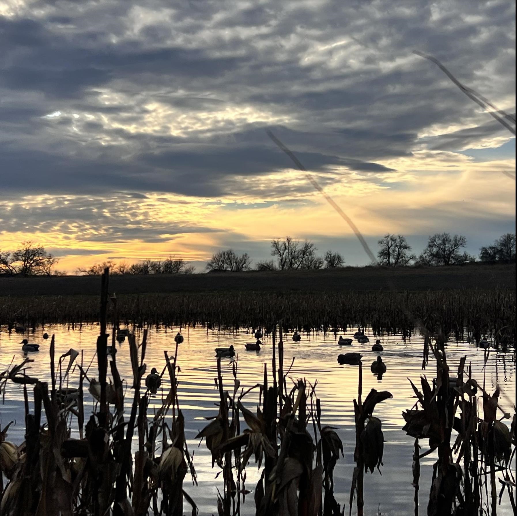 271.18 acres Zwettler/Foster Road