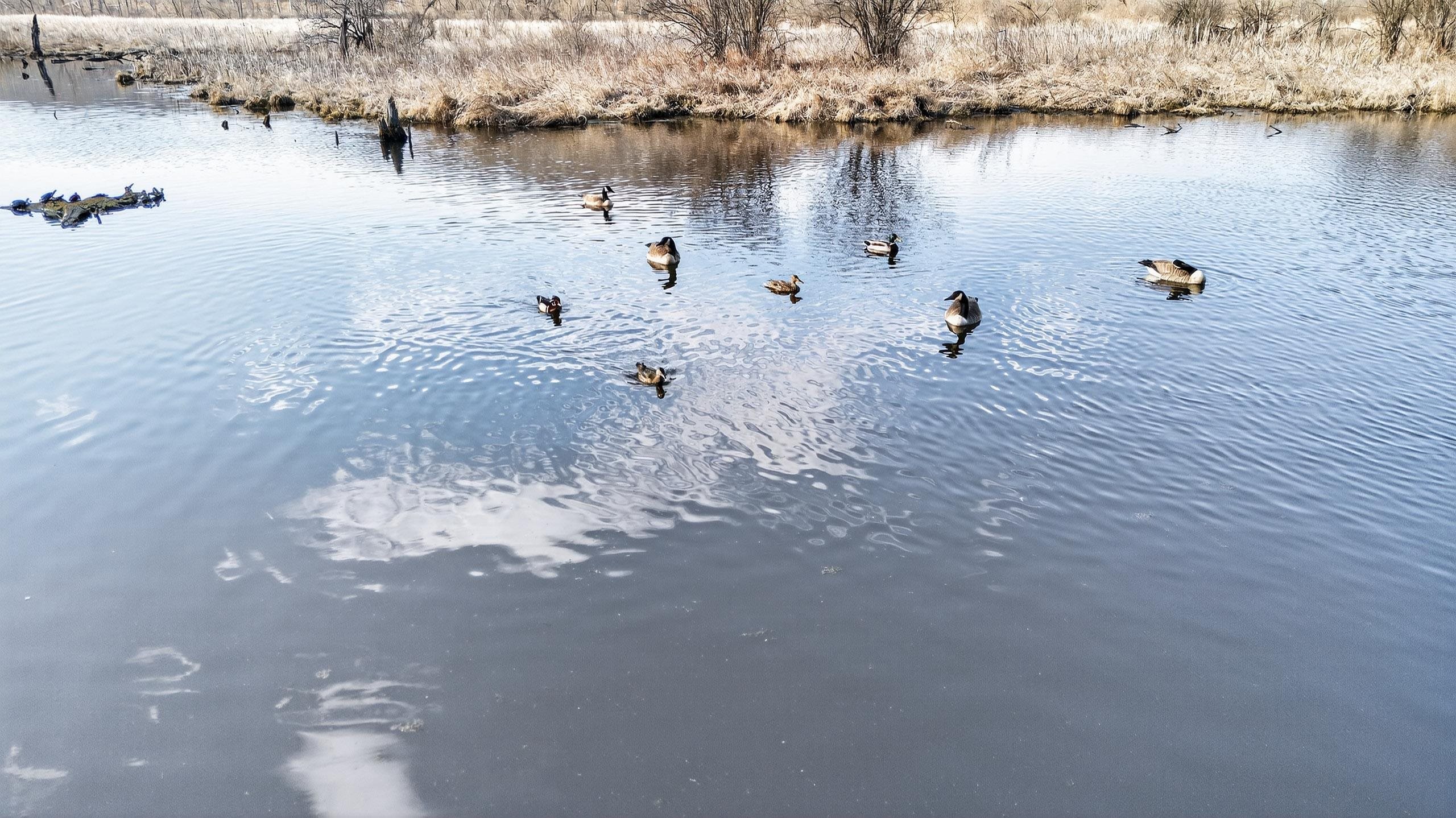 271.18 acres Zwettler/Foster Road